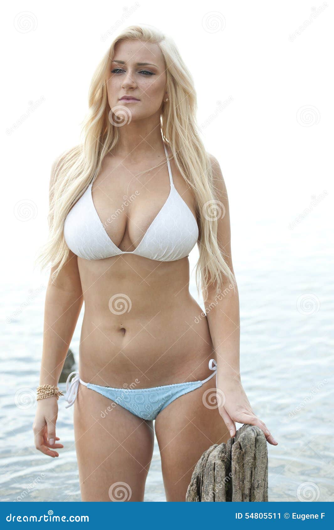 Busty Bikini Blonde