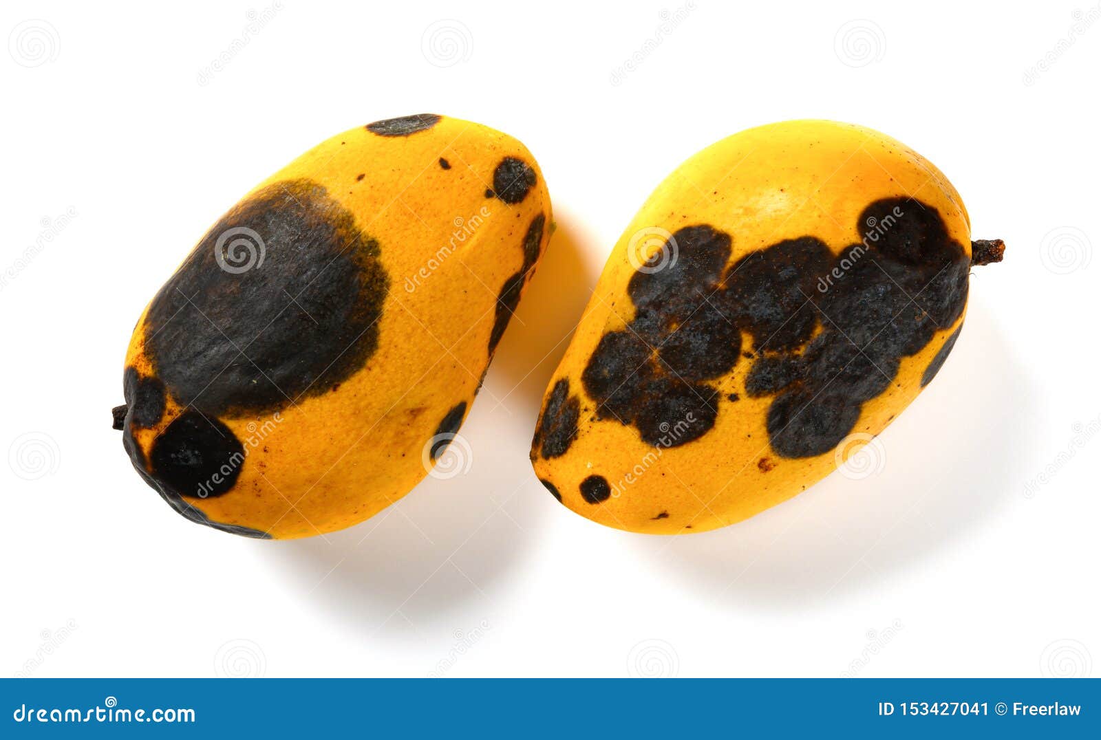 Rotting mangos hi-res stock photography and images - Alamy