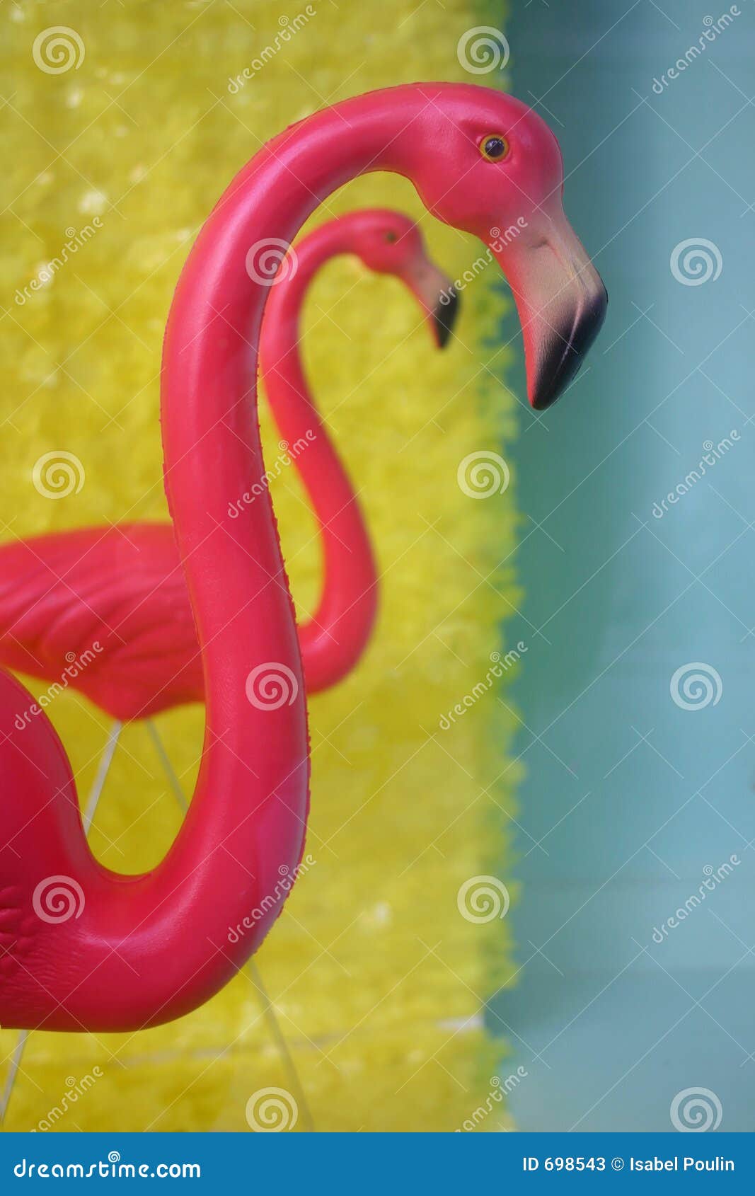 two pink flamingos