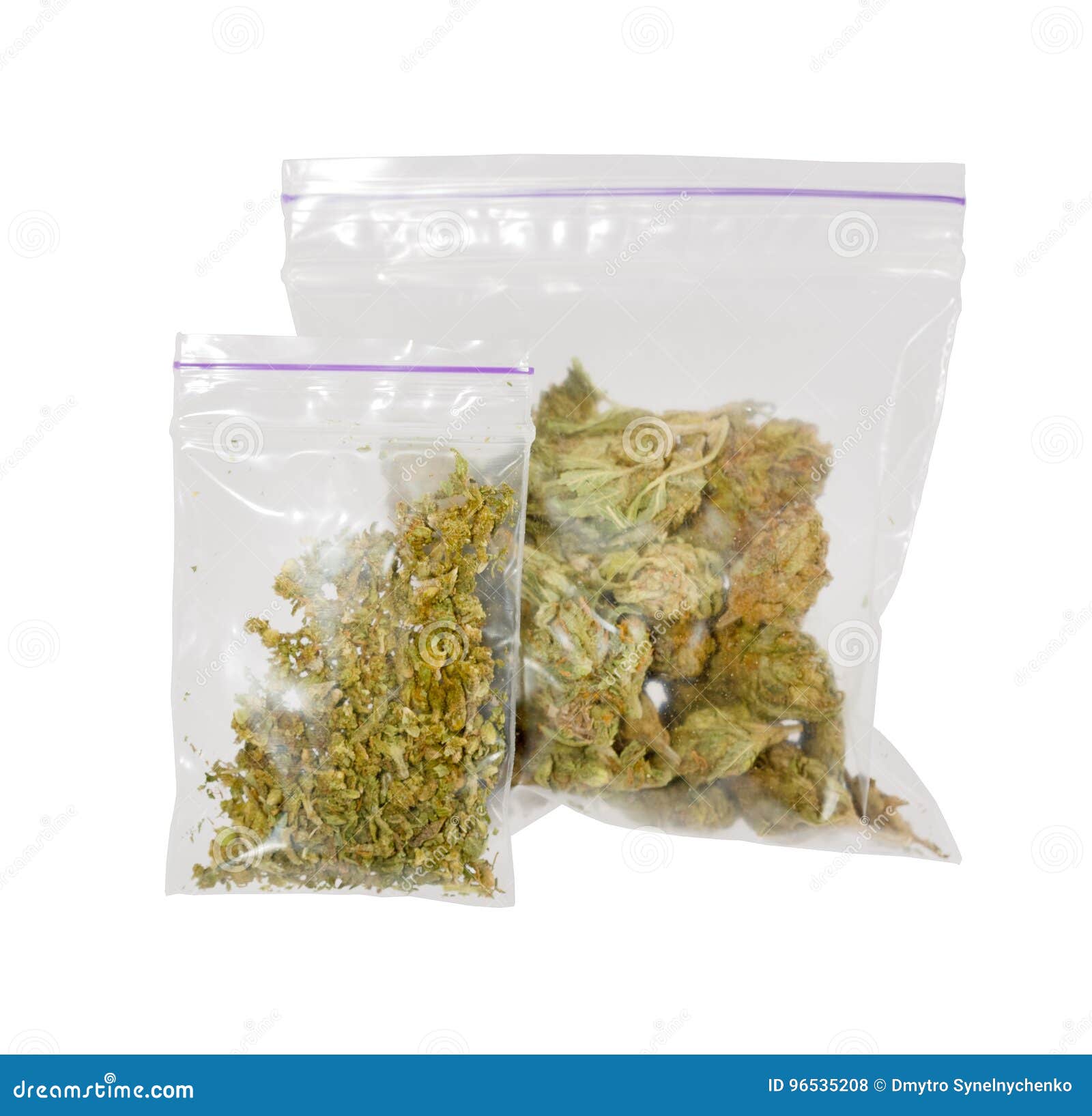 Two Plastic Bags of Medicinal Cannabis Marijuana . Stock Photo Image