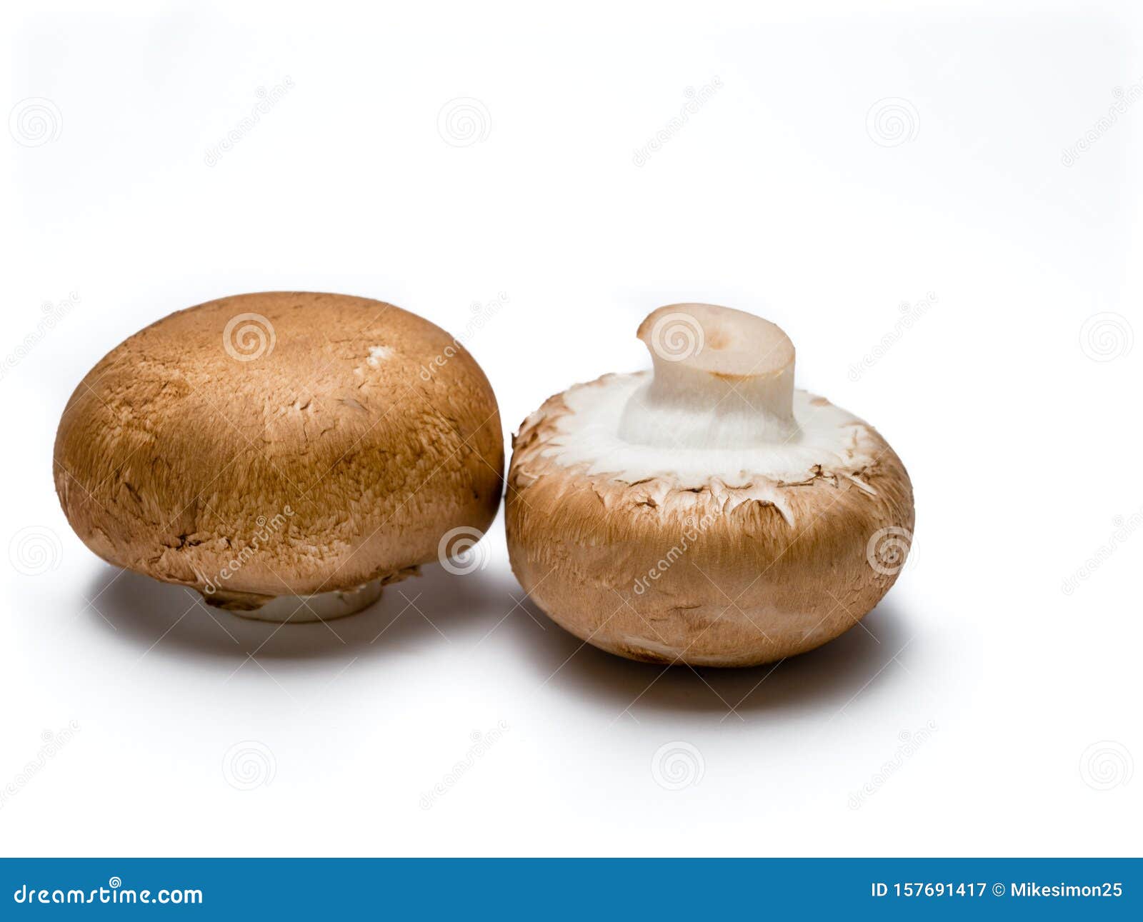 Two Portobello Mushrooms Isolated on White Stock Image Image of