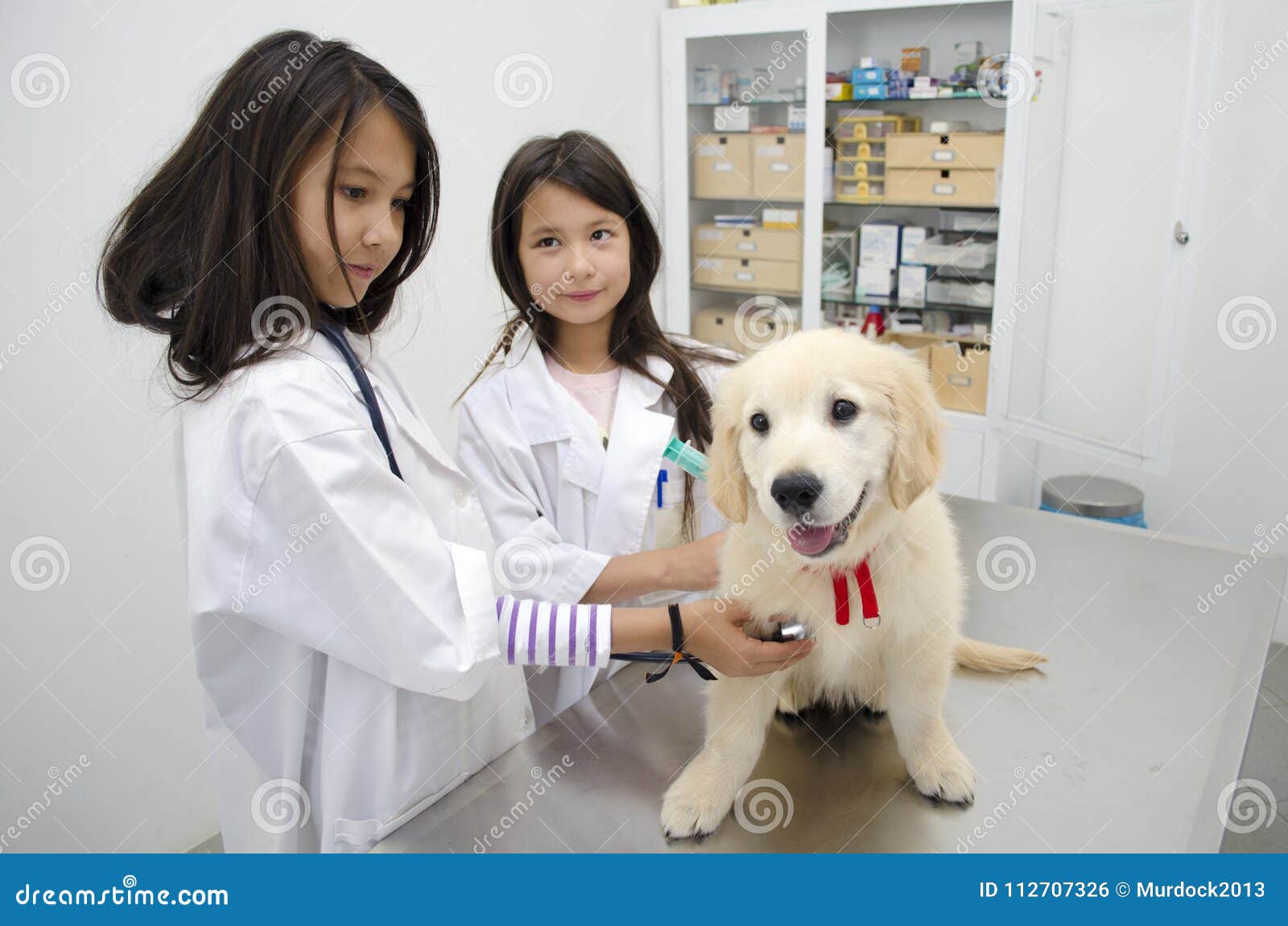 pretty girls pretending to be veterinarians.