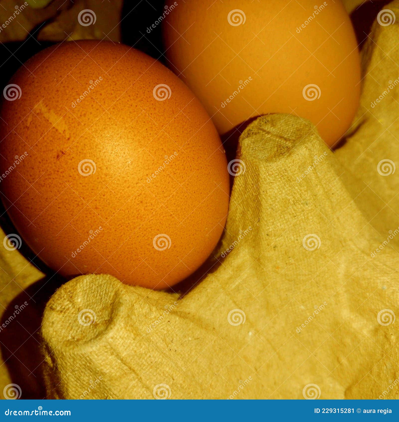 Two Pretty Yellow Eggs from Chicken Stock Image Image of flower, eggs