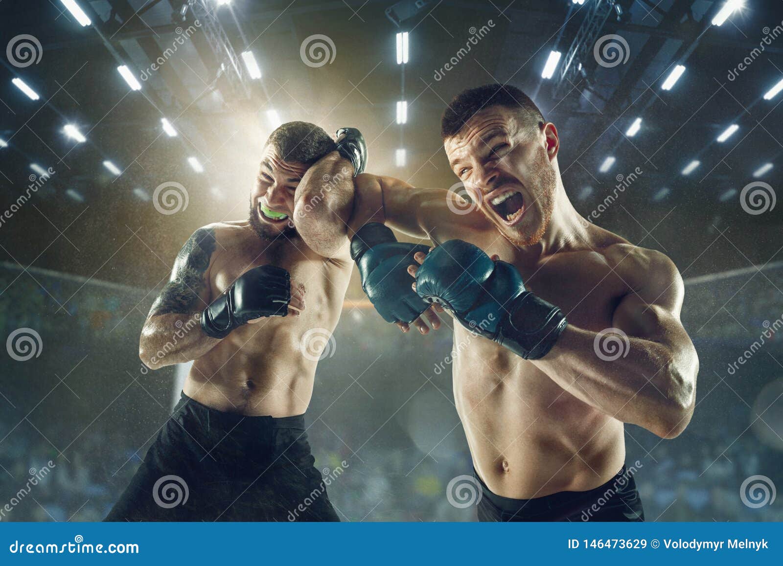 boxers boksers doen twee professionele dozen fighters