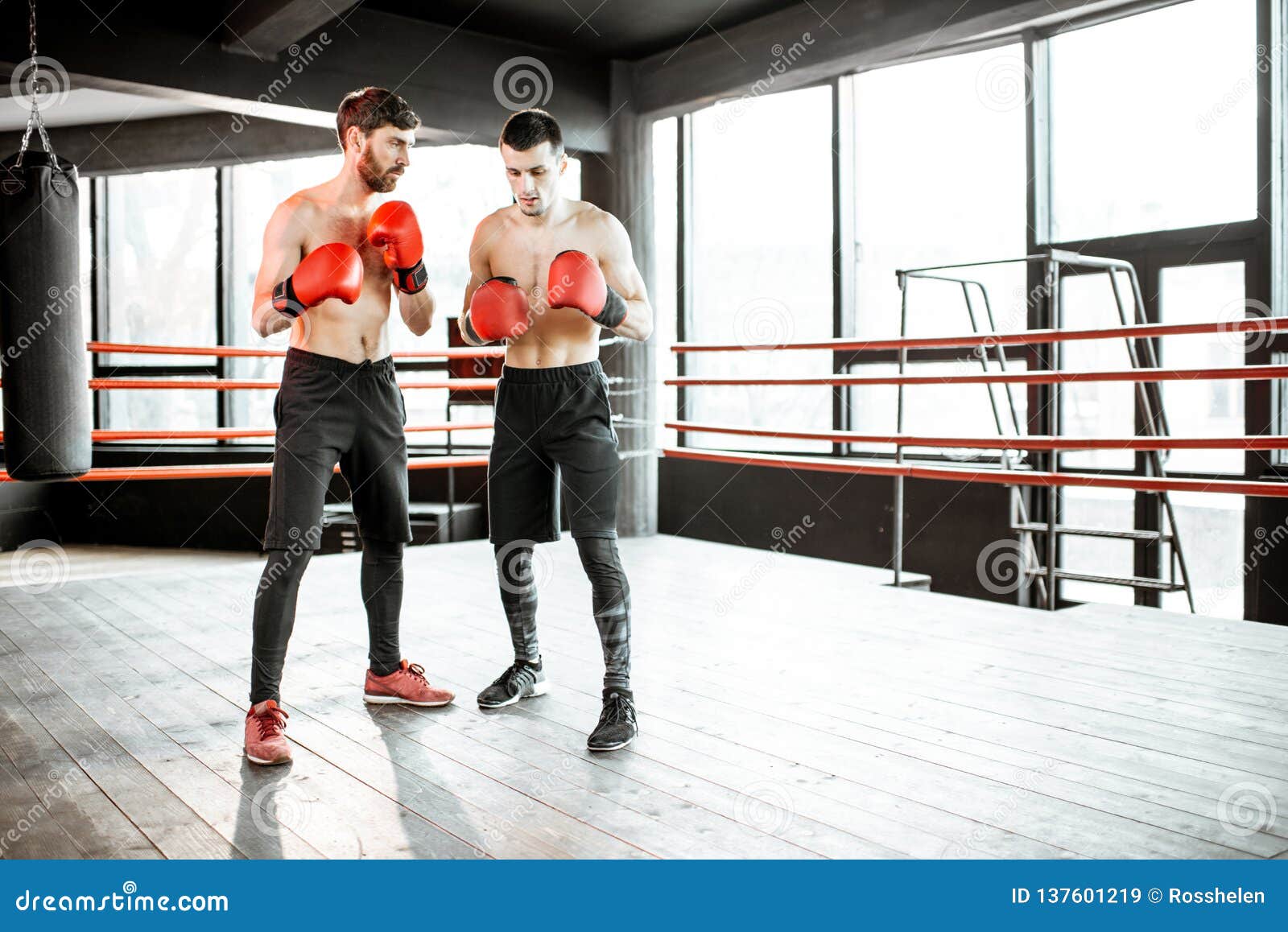 Two Professional Boxers Training at the Gym Stock Image Image of