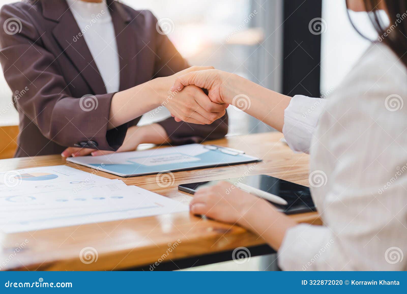 Two Professionals Completing a Successful Negotiation with a Handshake