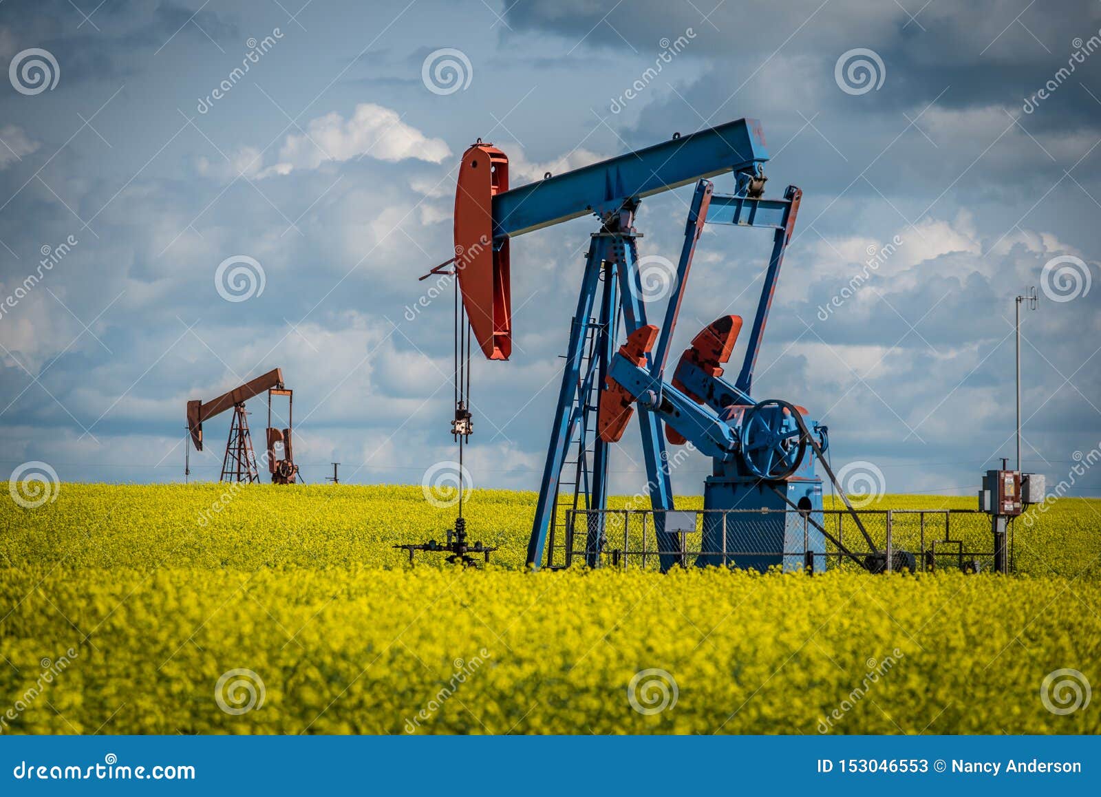 Two Pump Jacks in a Canola Field in Saskatchewan, Canada Stock Image