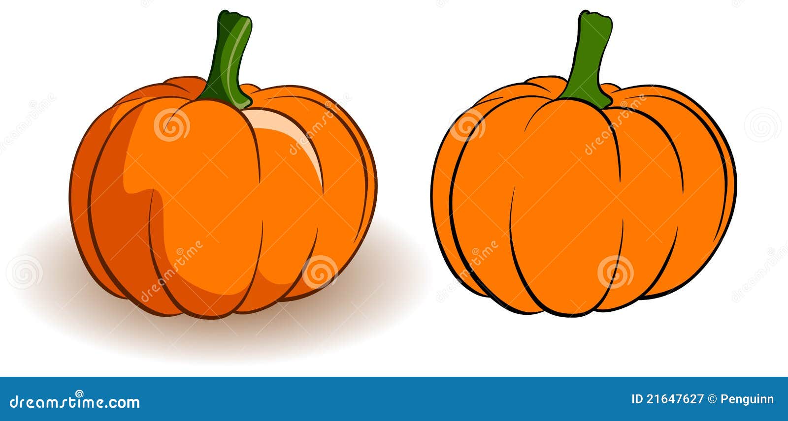  Two  pumpkins stock illustration Illustration of primitive 