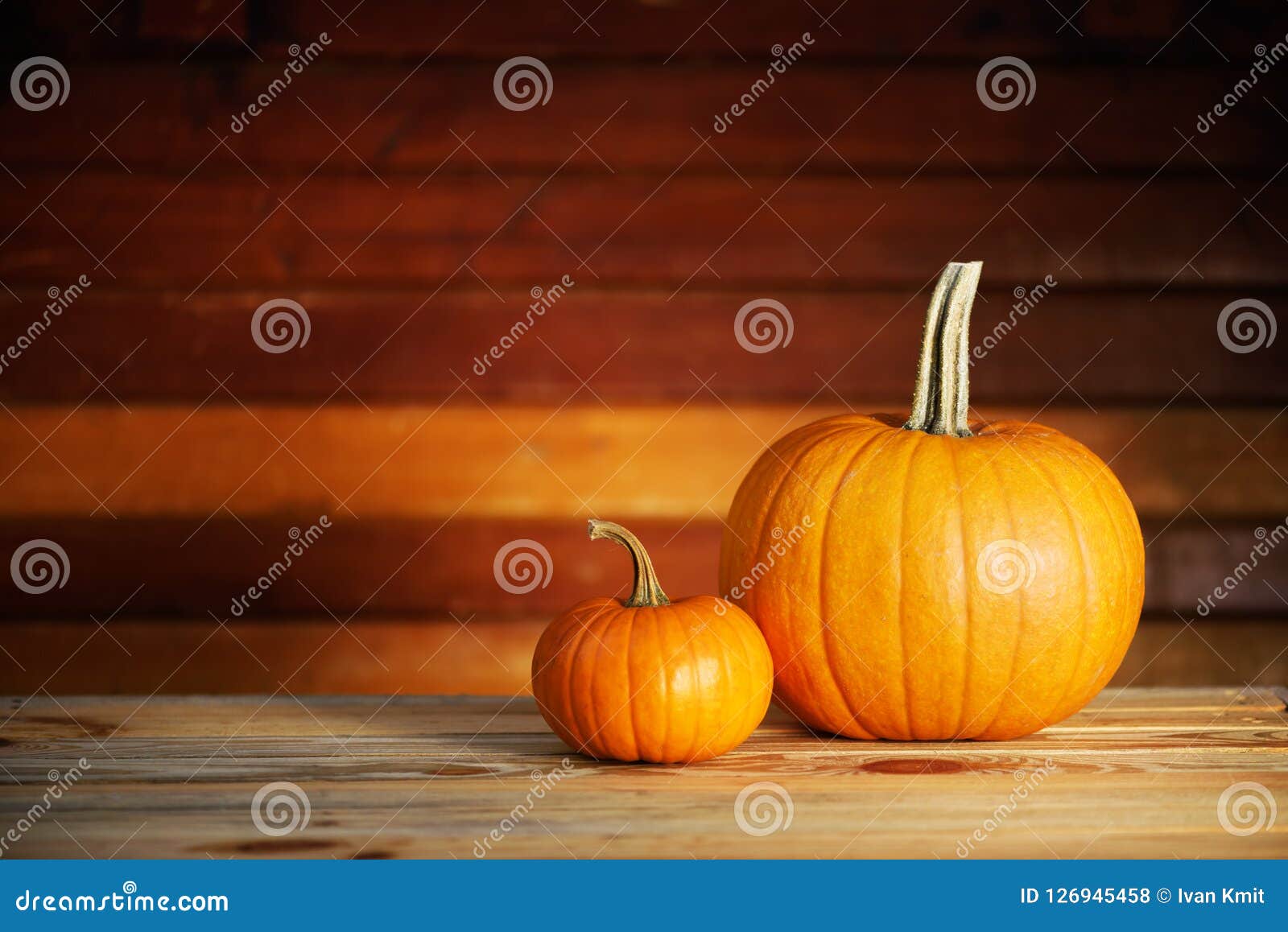 Two Pumpkins on Wooden Table Stock Photo - Image of november, diverse ...