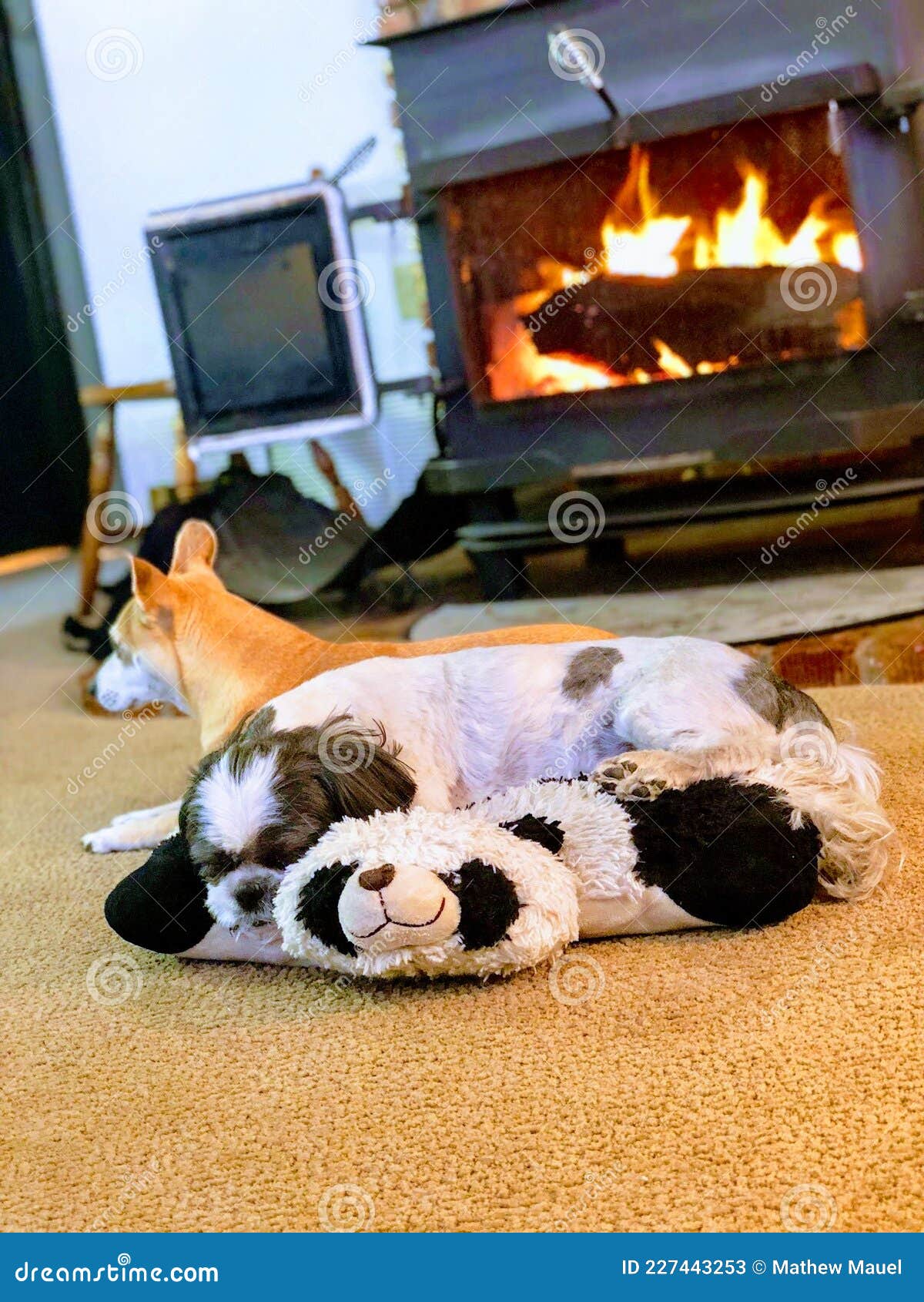 sleeping in front of a fire