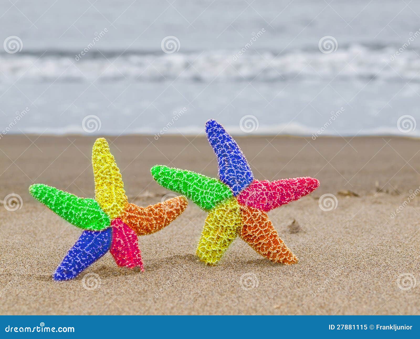 Two Rainbow Starfish on the Shoreline Stock Image - Image of