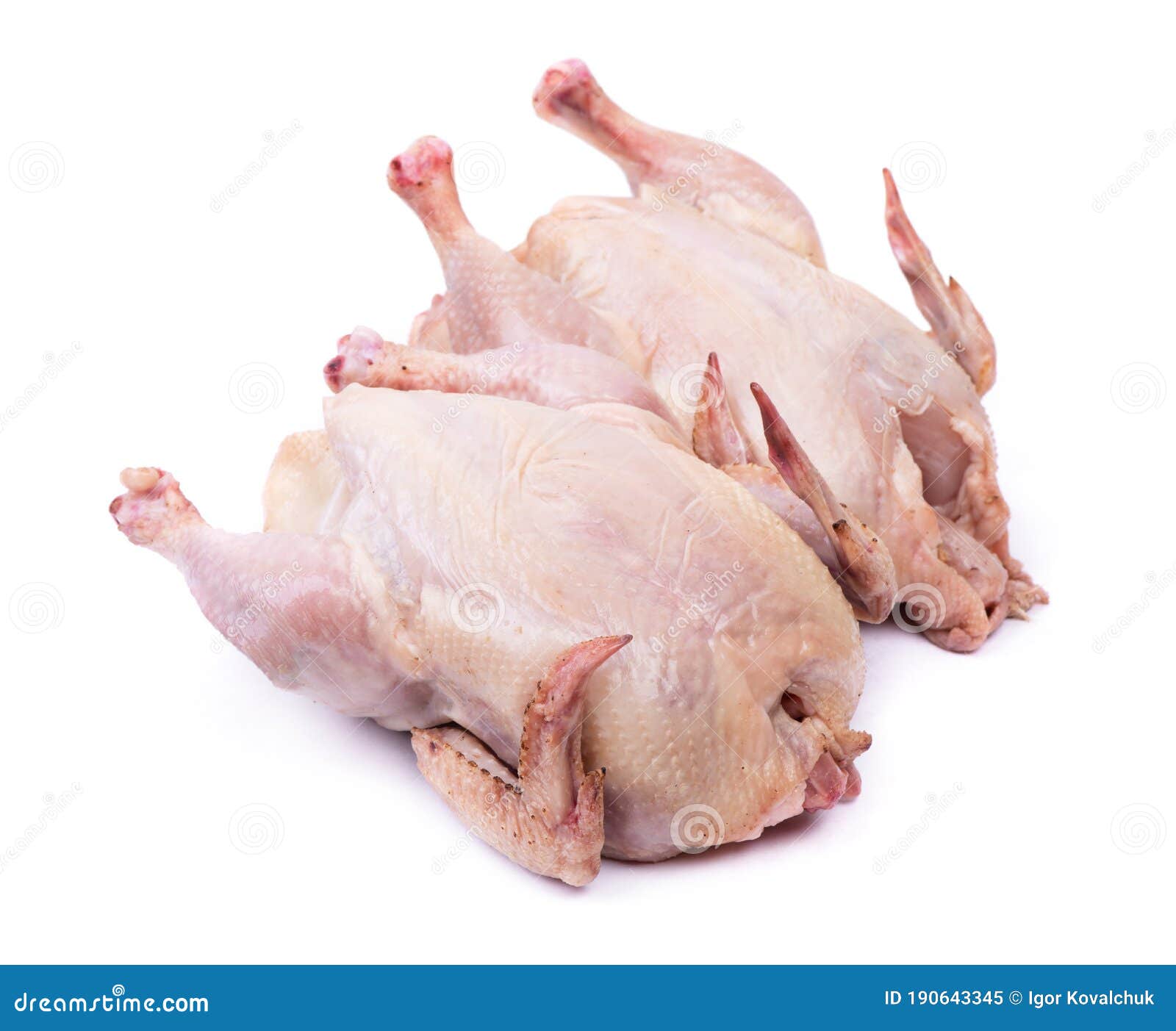 Two raw chicken carcass stock image. Image of group 190643345