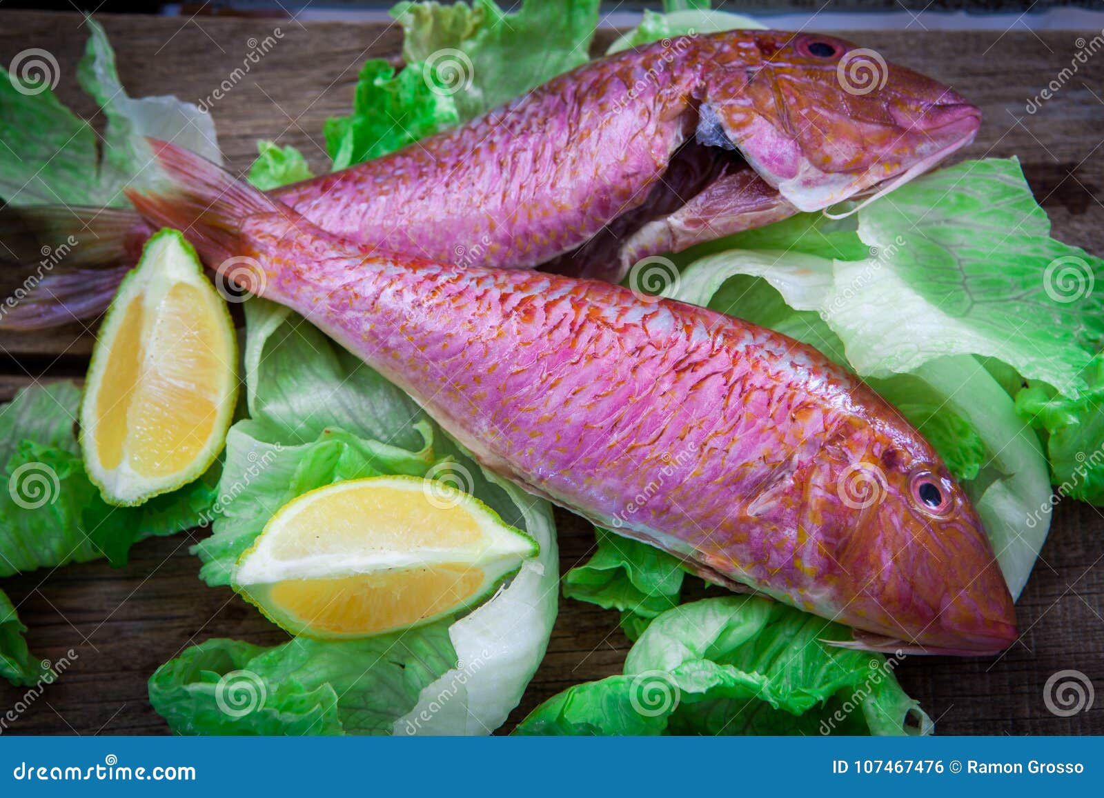 Red mullet fish style stock photo. Image of health