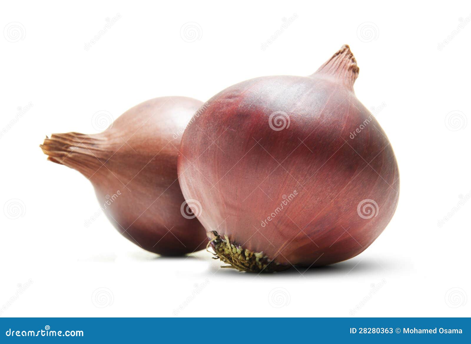 Two Red Onions stock image. Image of carbohydrate, prepare 28280363