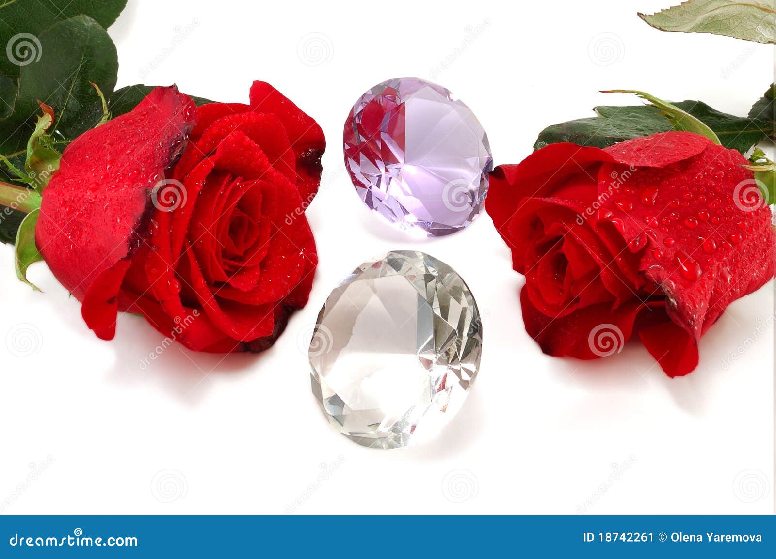 Two Red Roses and Jewelry Stones Stock Image Image of drops, flower