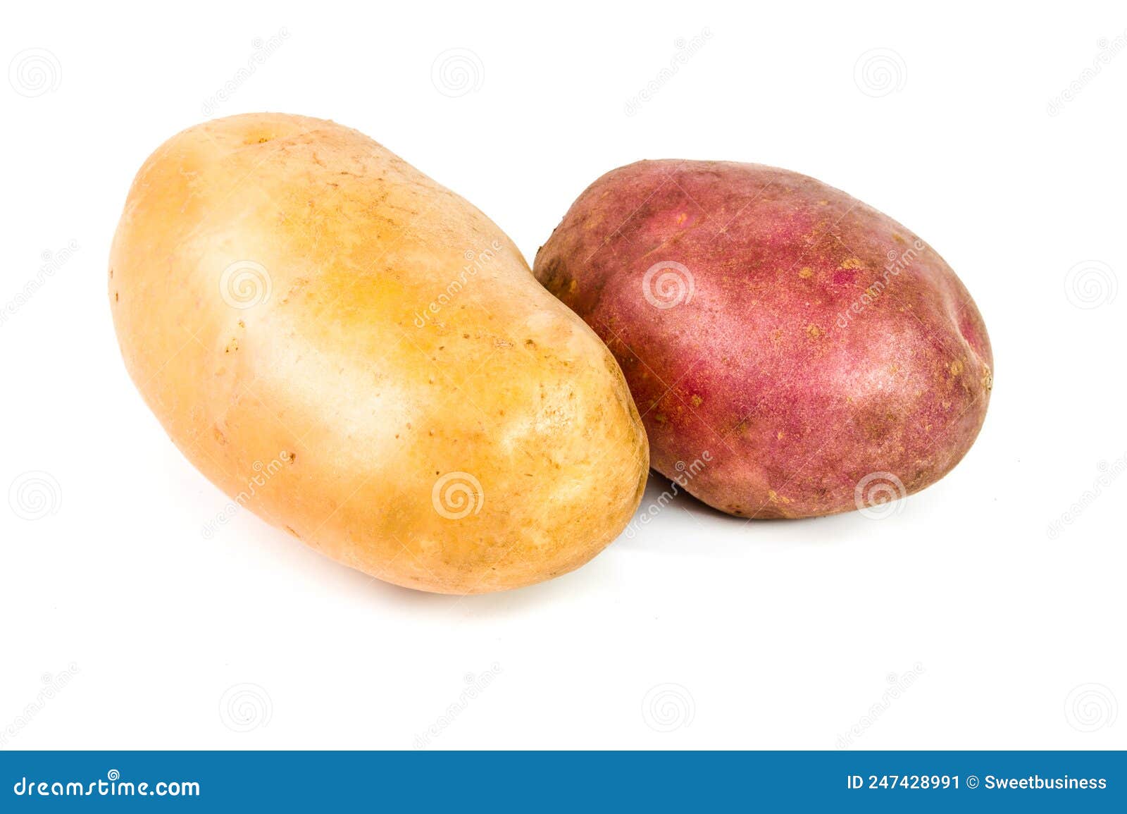 Two red and white potatoes stock image. Image of isolated 247428991