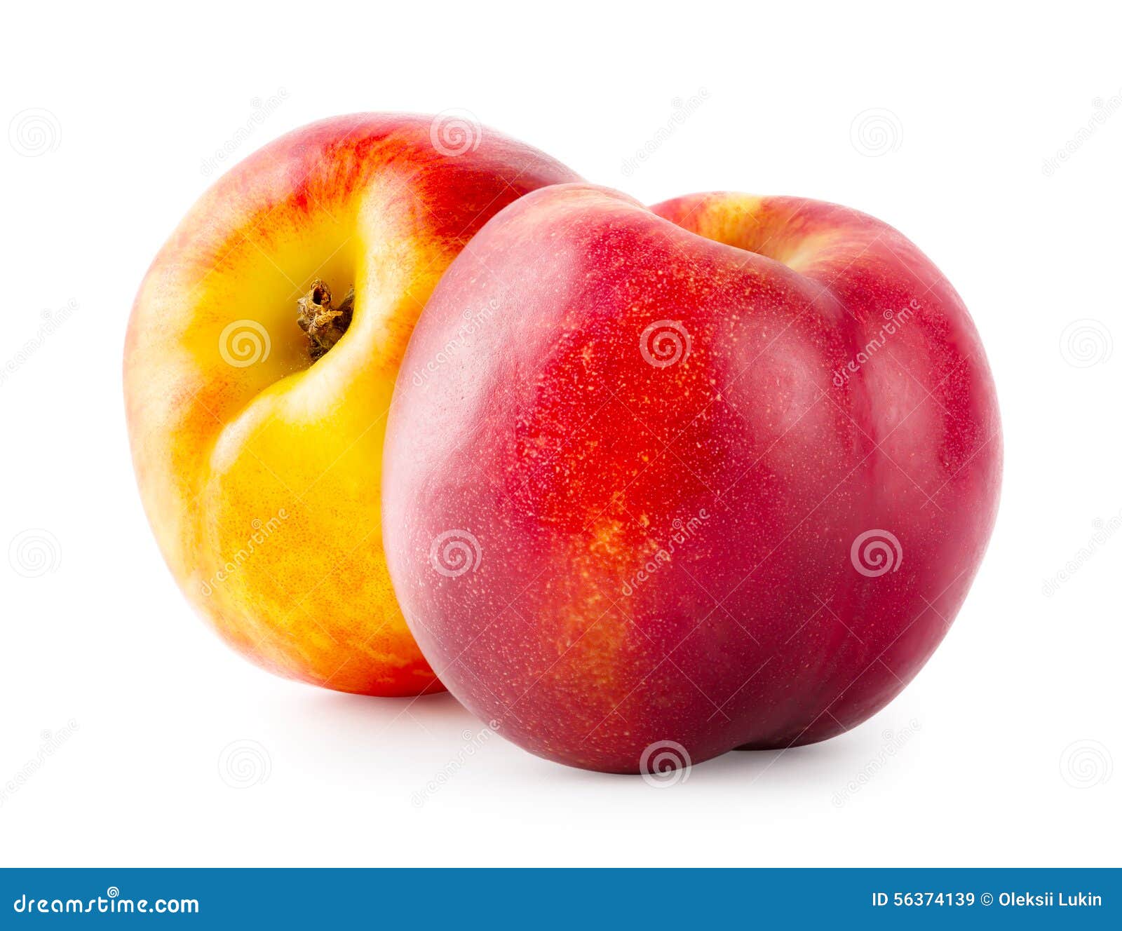 Two ripe nectarine stock image. Image of close, healthy 56374139