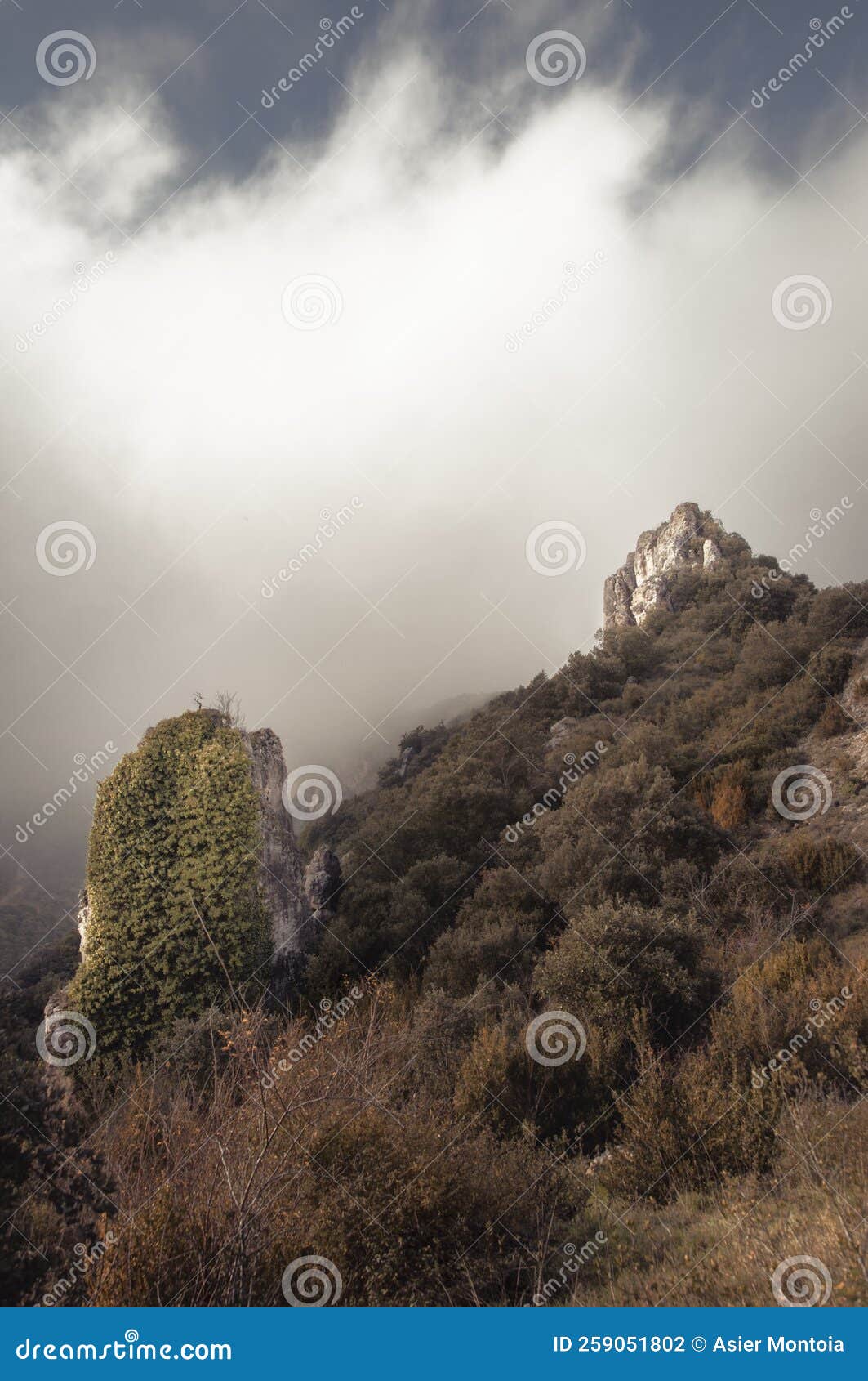 two rocks stand out among vegetation in the mountains of portilla - zabalate
