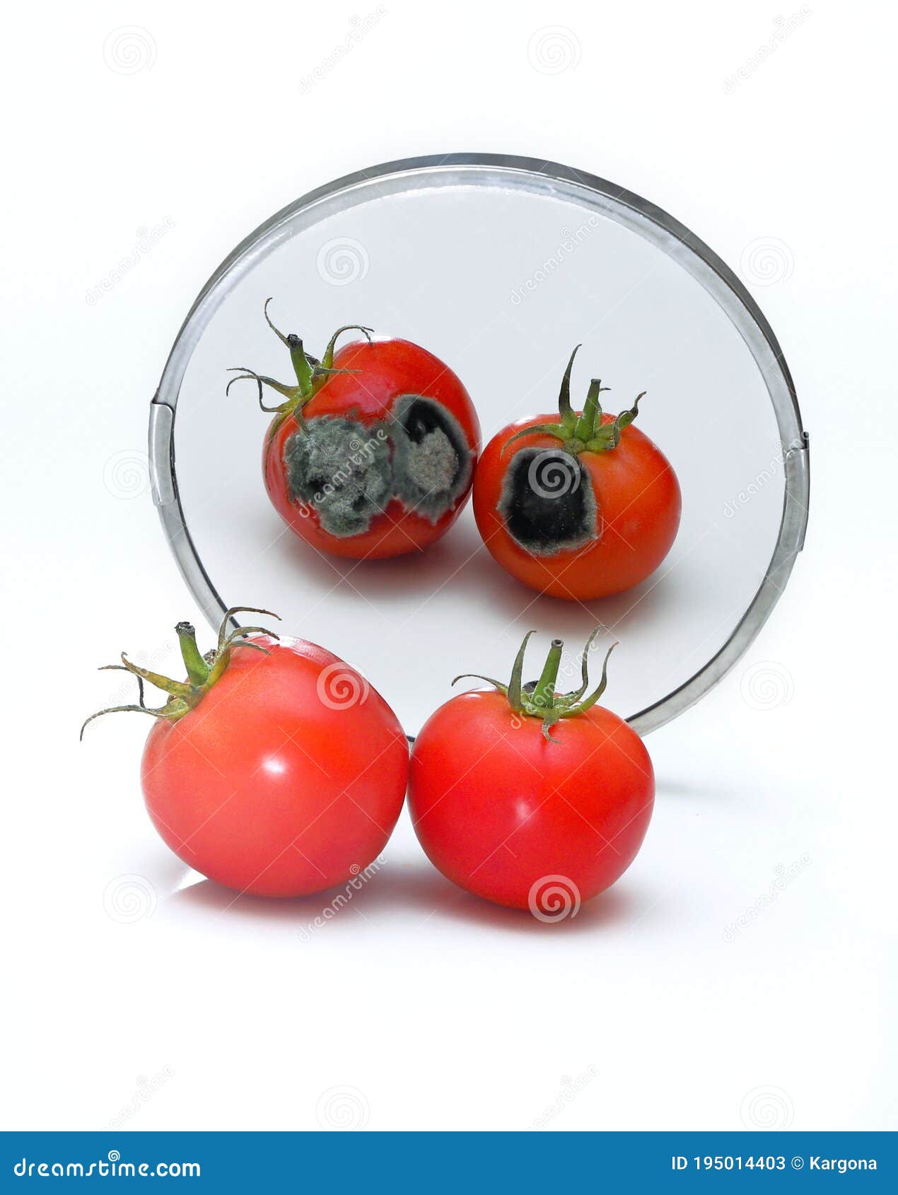 Two Rotten Tomatoes Reflected In The Mirror Isolated On White Spoiled Character Concept Expectation Vs Reality Concept Stock Image Image Of Environment Food 195014403