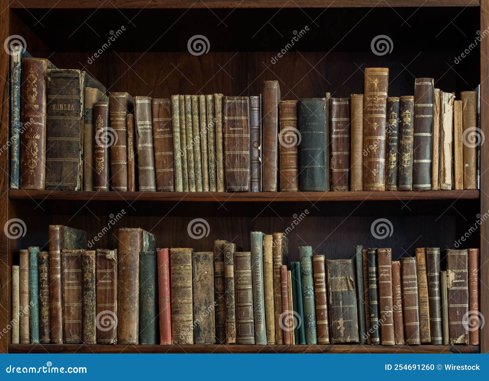 Two Rows of Old Books on the Shelves of Wooden Bookcase Editorial Image