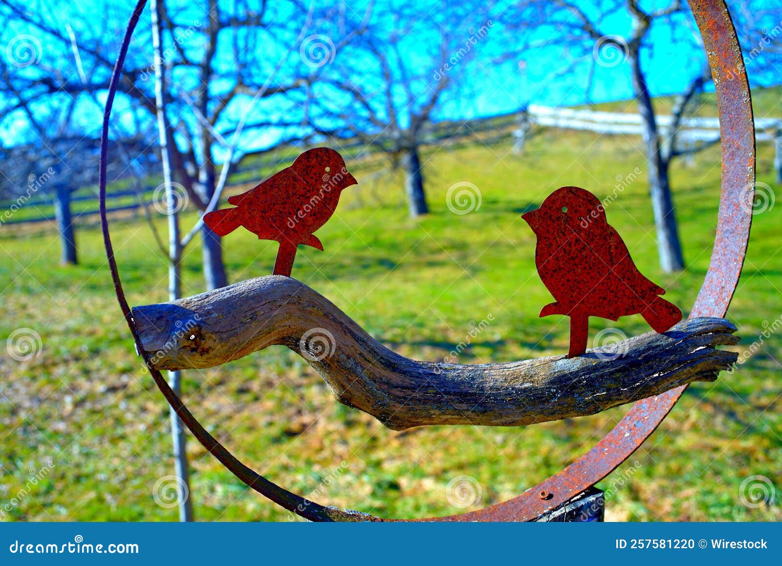 Two Rusty Metal Birds Decorate the Garden Stock Photo Image of yellow