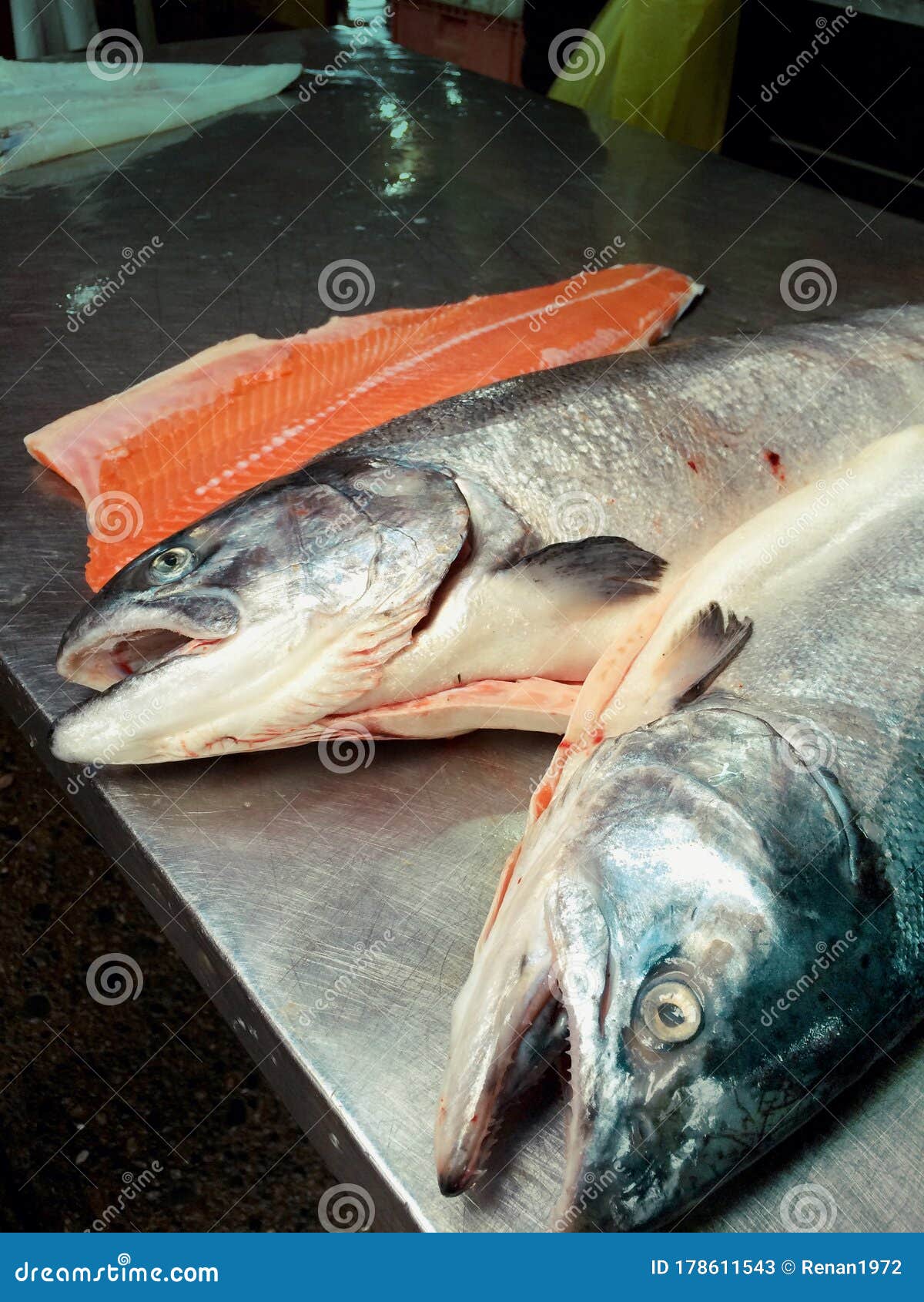 two salmon in the chile market