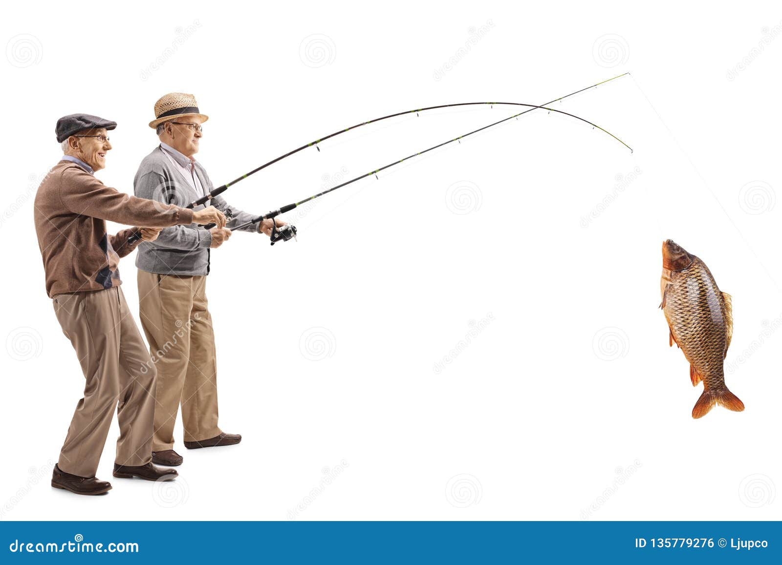Two Senior Fishermen with a Big Carp on a Fishing Rod Stock Photo