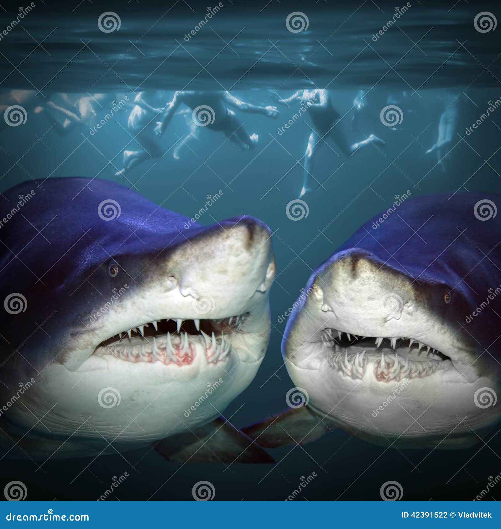 Two sharks have a fun. stock photo. Image of friends - 42391522