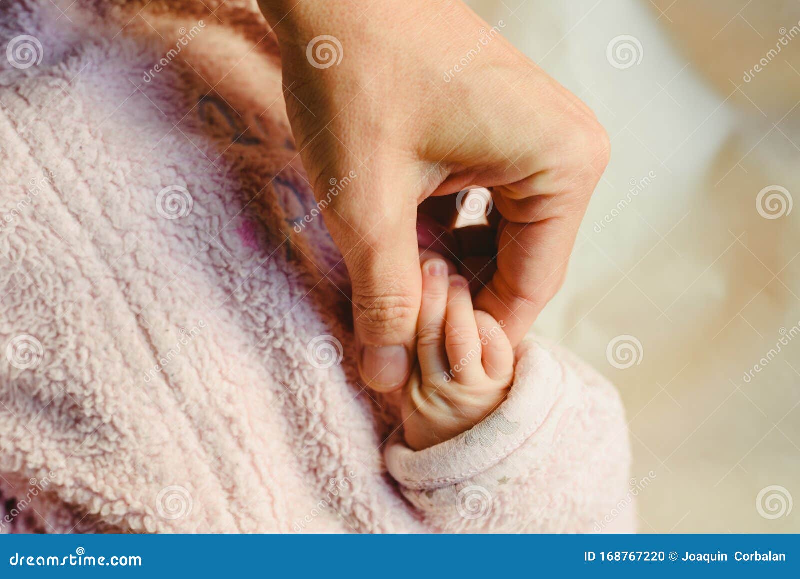 Two Siblings, a Baby and a Toddler Shaking Hands. Stock Photo Image
