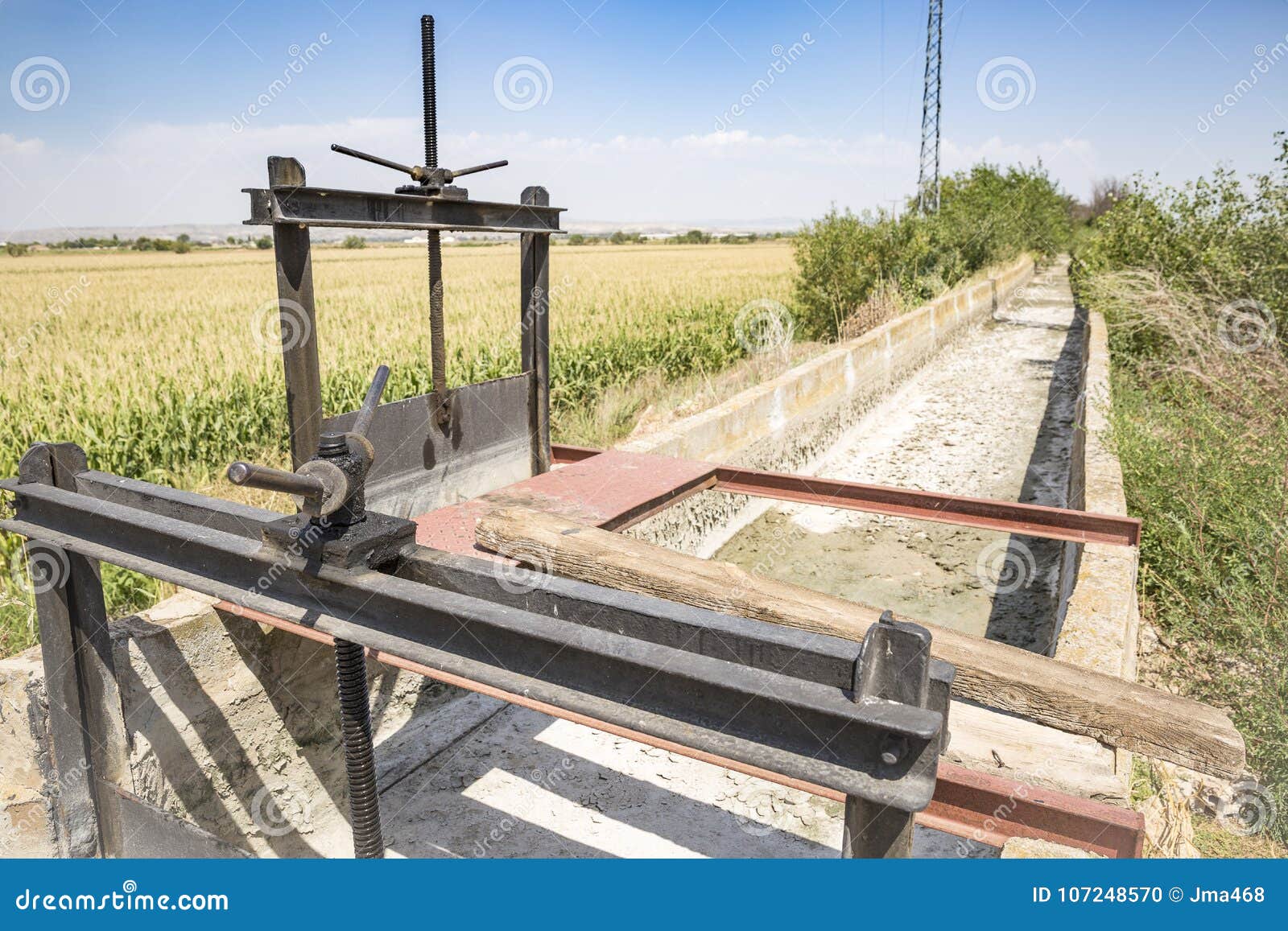 Sluicegates on a Dry Irrigation Watercourse Canal and a Field of Corn