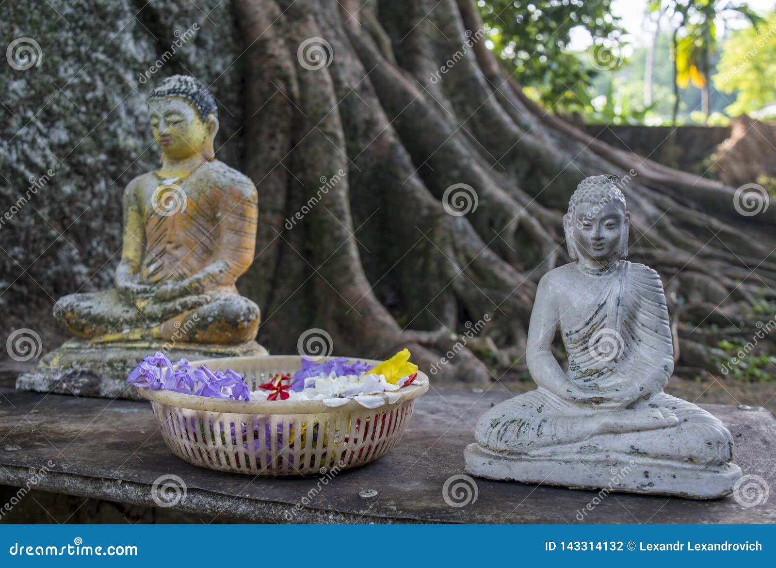 Image result for buddha in a basket