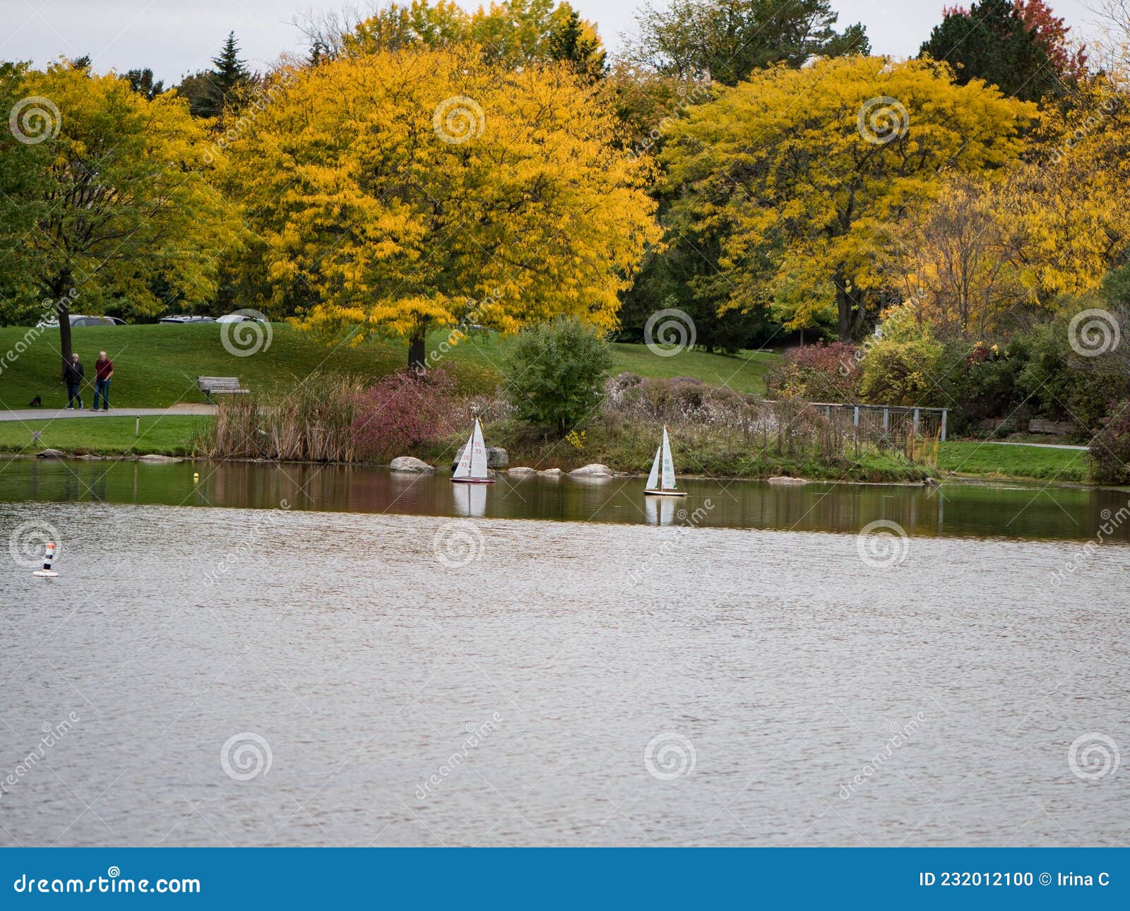 two small collectable yachts on a pond in a fall season