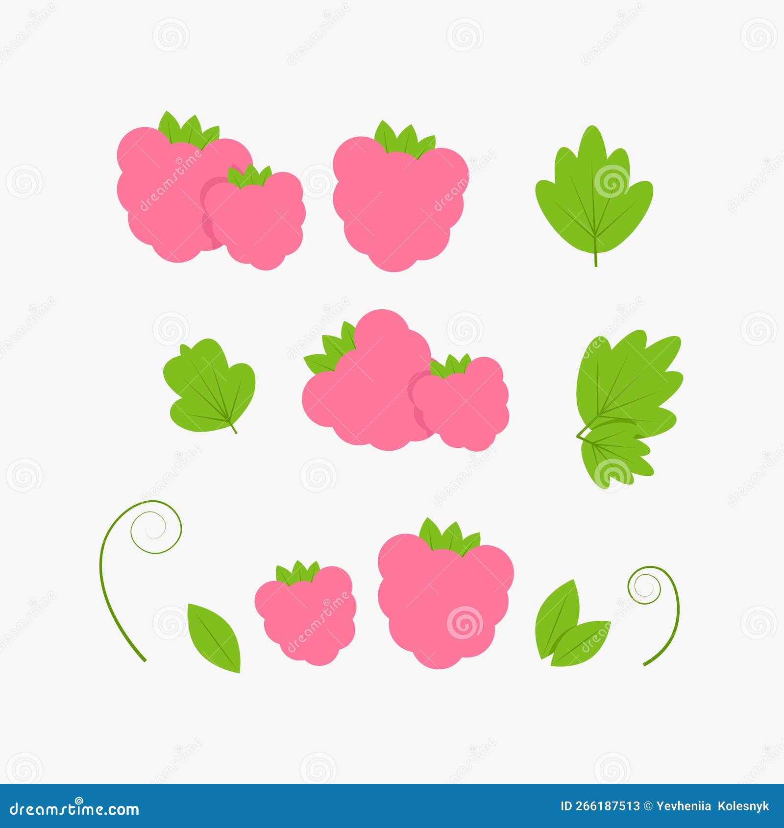 Set of Pink Raspberries in Different Combinations and Green Raspberry