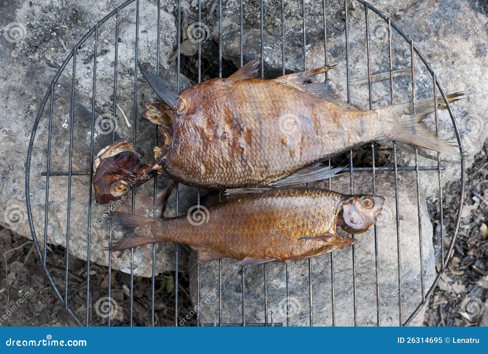 Two Smoked Fish on Barbecue Stock Image Image of barbecue, carp 26314695