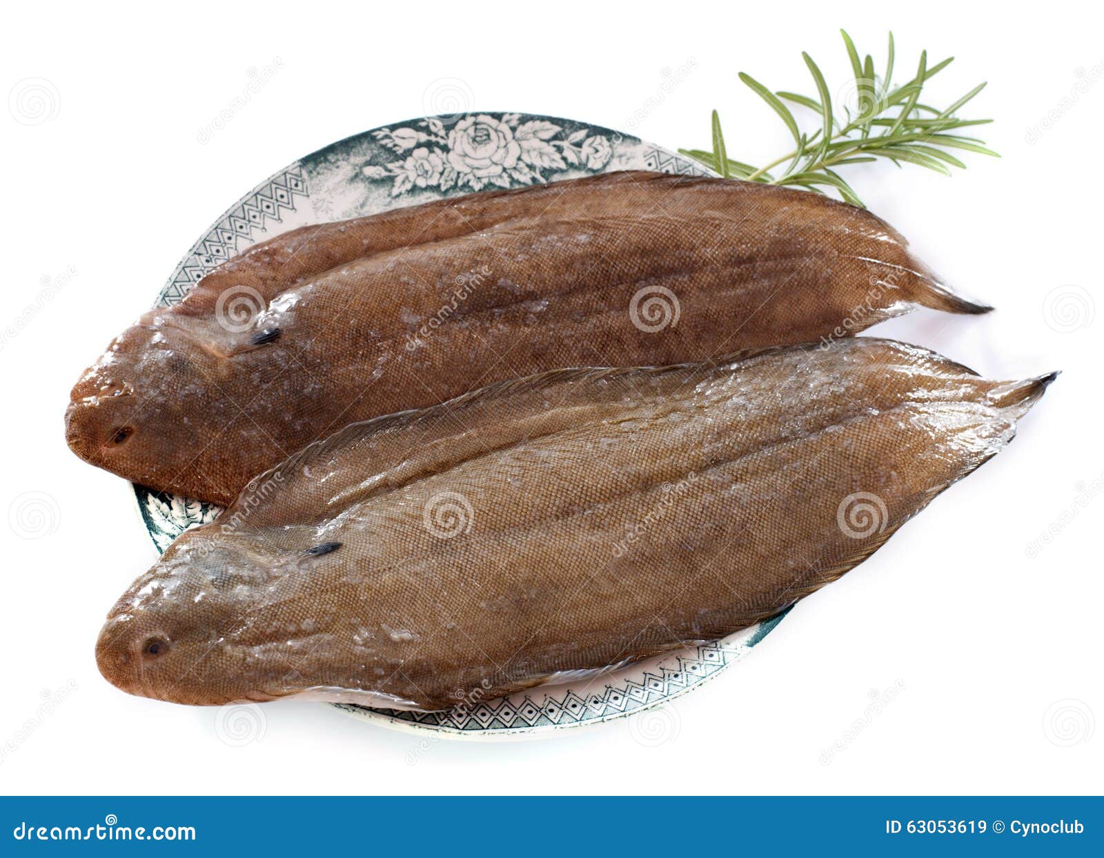 Two sole fishes stock image. Image of white, fresh, saltwater 63053619