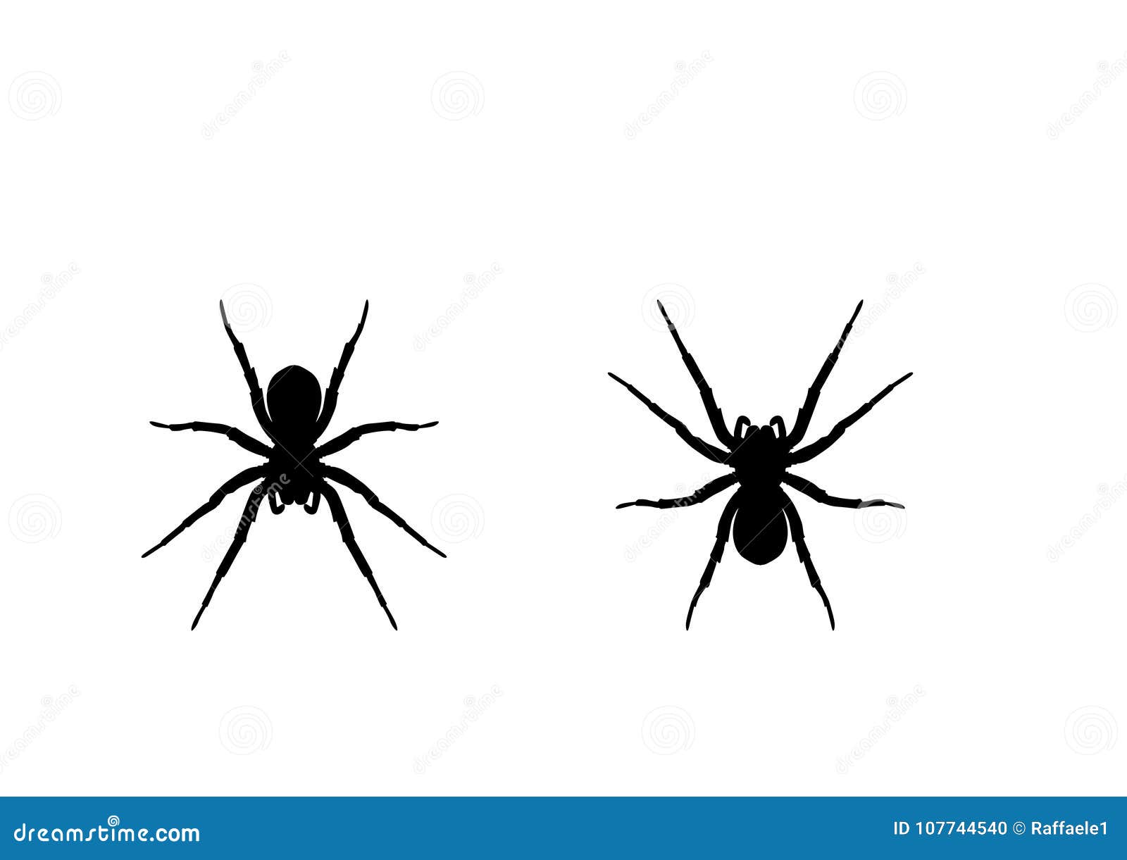 two spider  silhouette