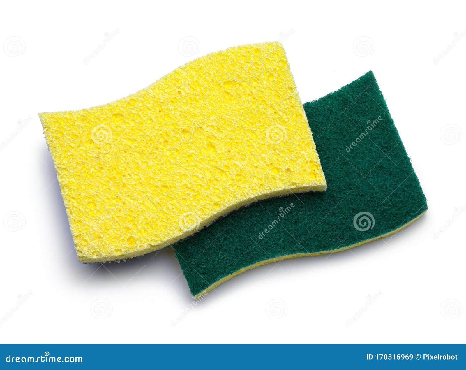 8,293 Yellow Sponges Stock Photos - Free & Royalty-Free Stock Photos from  Dreamstime
