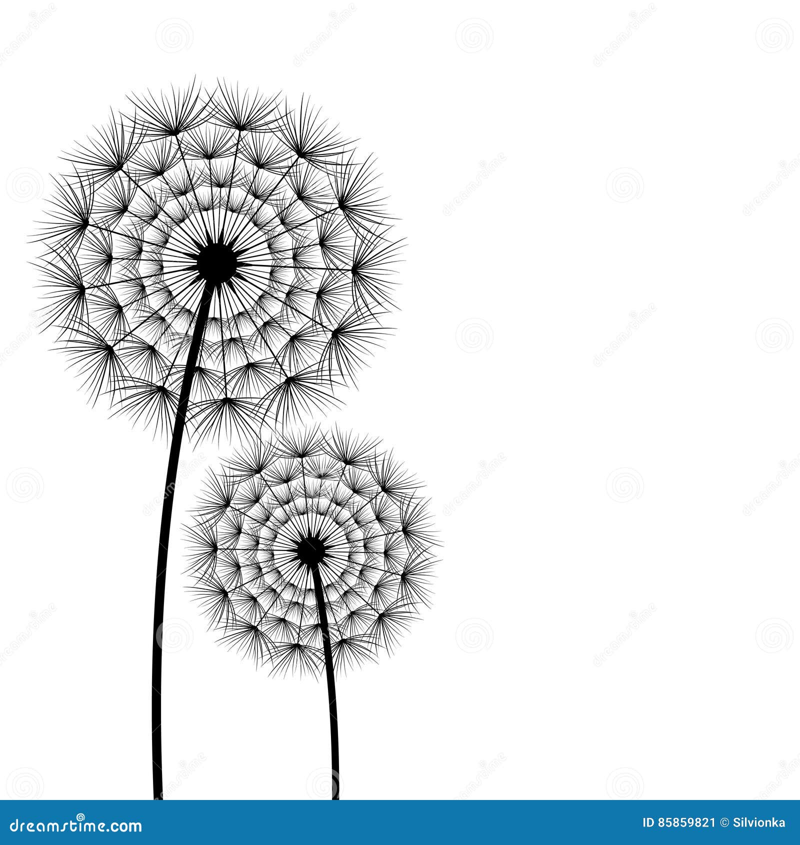 Two Spring and Summer Flowers Dandelions Over White Stock Vector ...