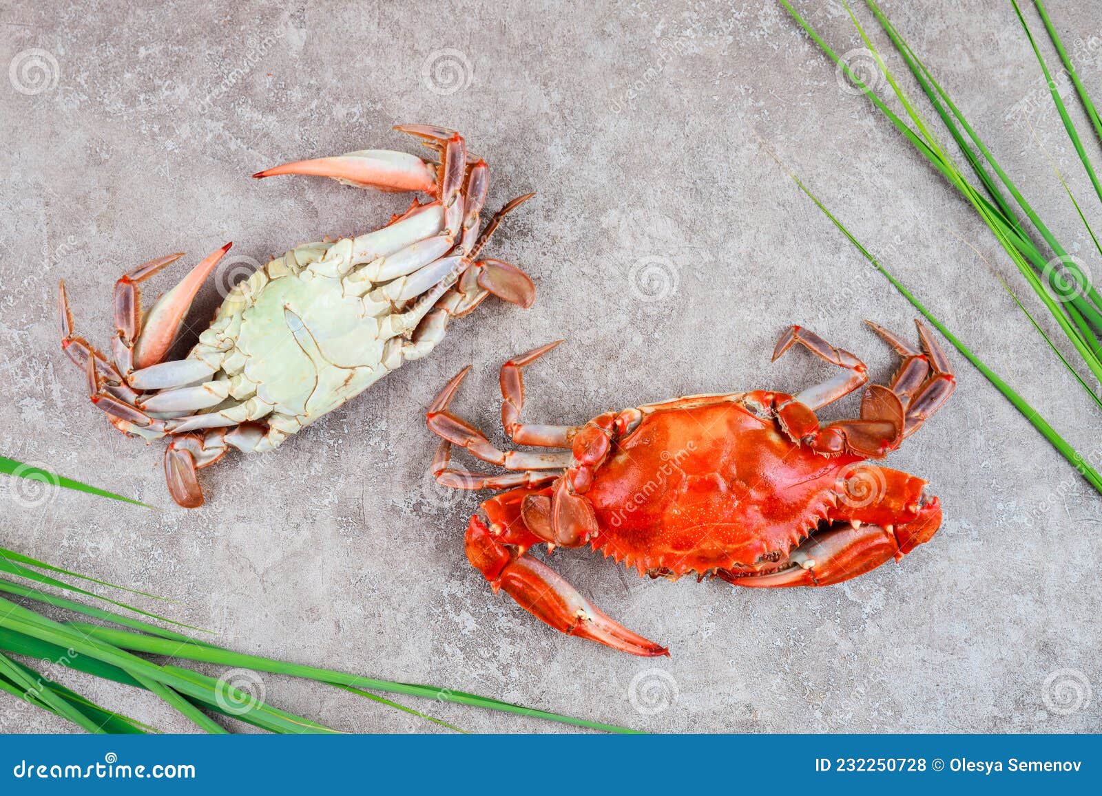 Two Steamed Crabs with Grass on a Grey Surface Stock Photo Image of