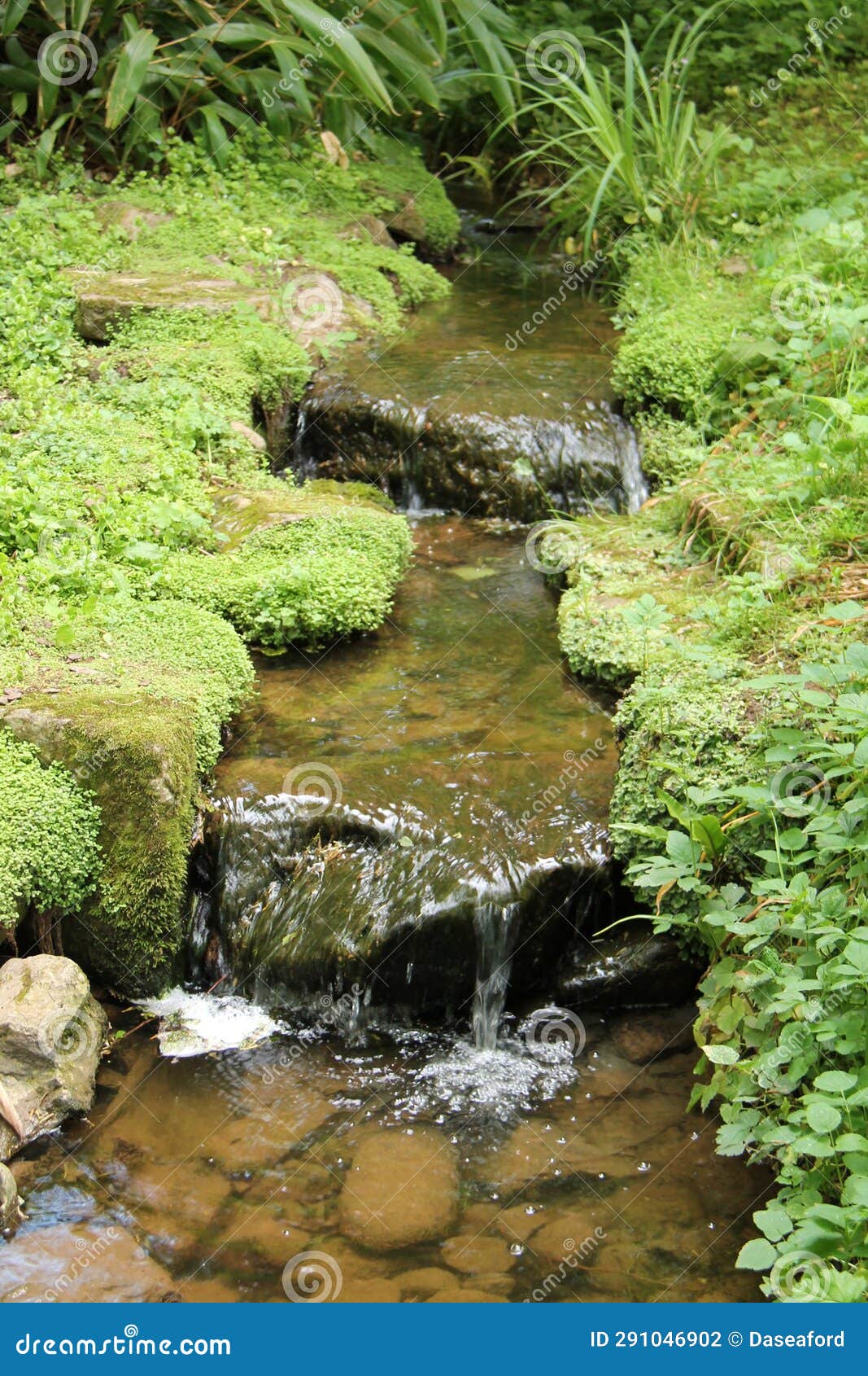 Two Step Waterfall Stock Photo Image Of Plants Vegetation 291046902 Two Step Waterfall Stock Photo Image Of Plants Vegetation 291046902