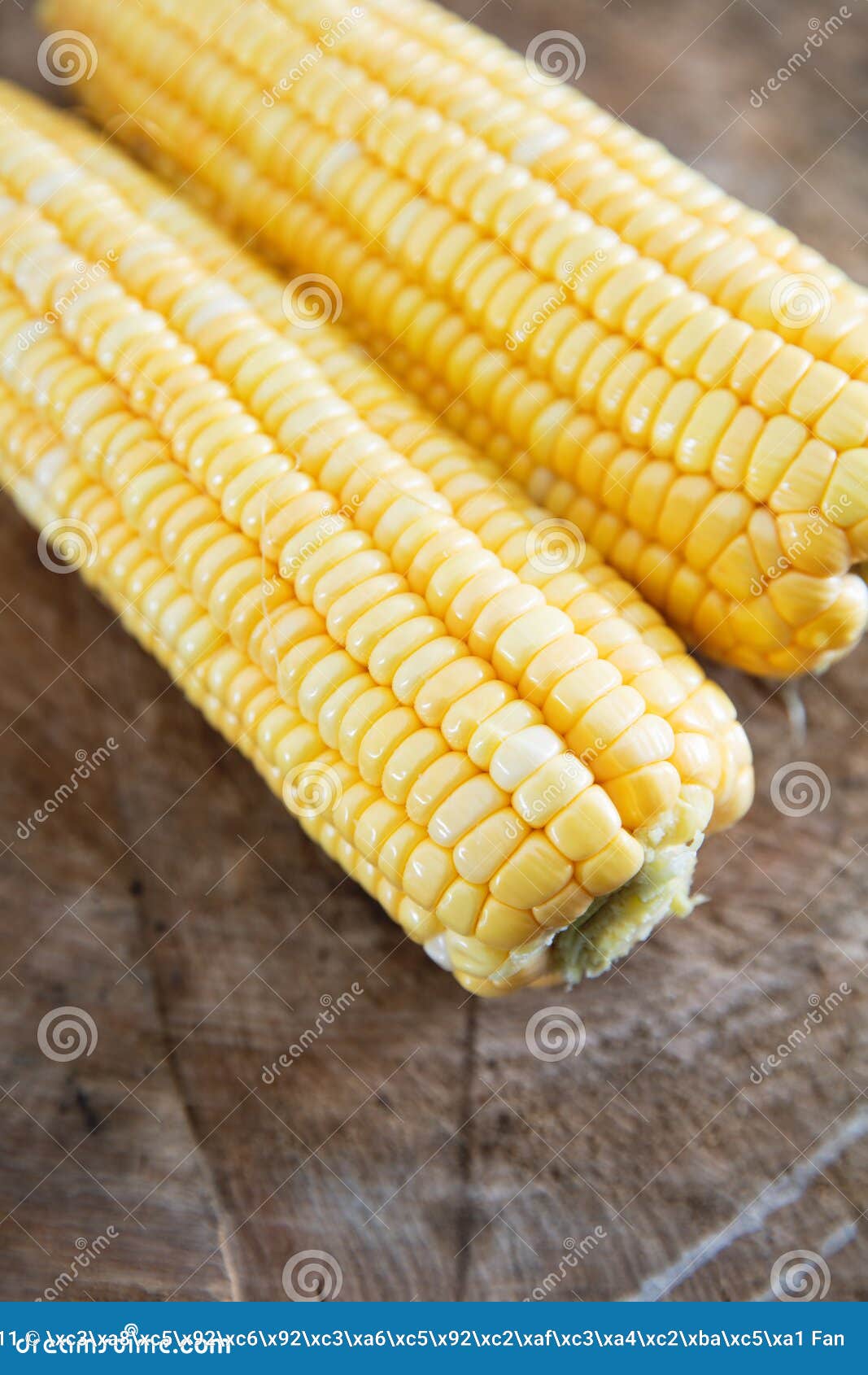 Two Stripped Tender Corn Cobs Stock Image Image of staple, life