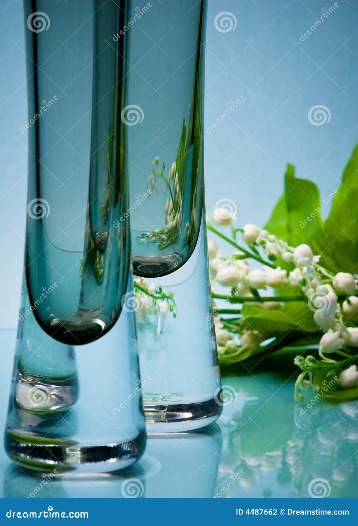 Two Stylish Glass Vases With Flowers On Blue Stock Photo Image of
