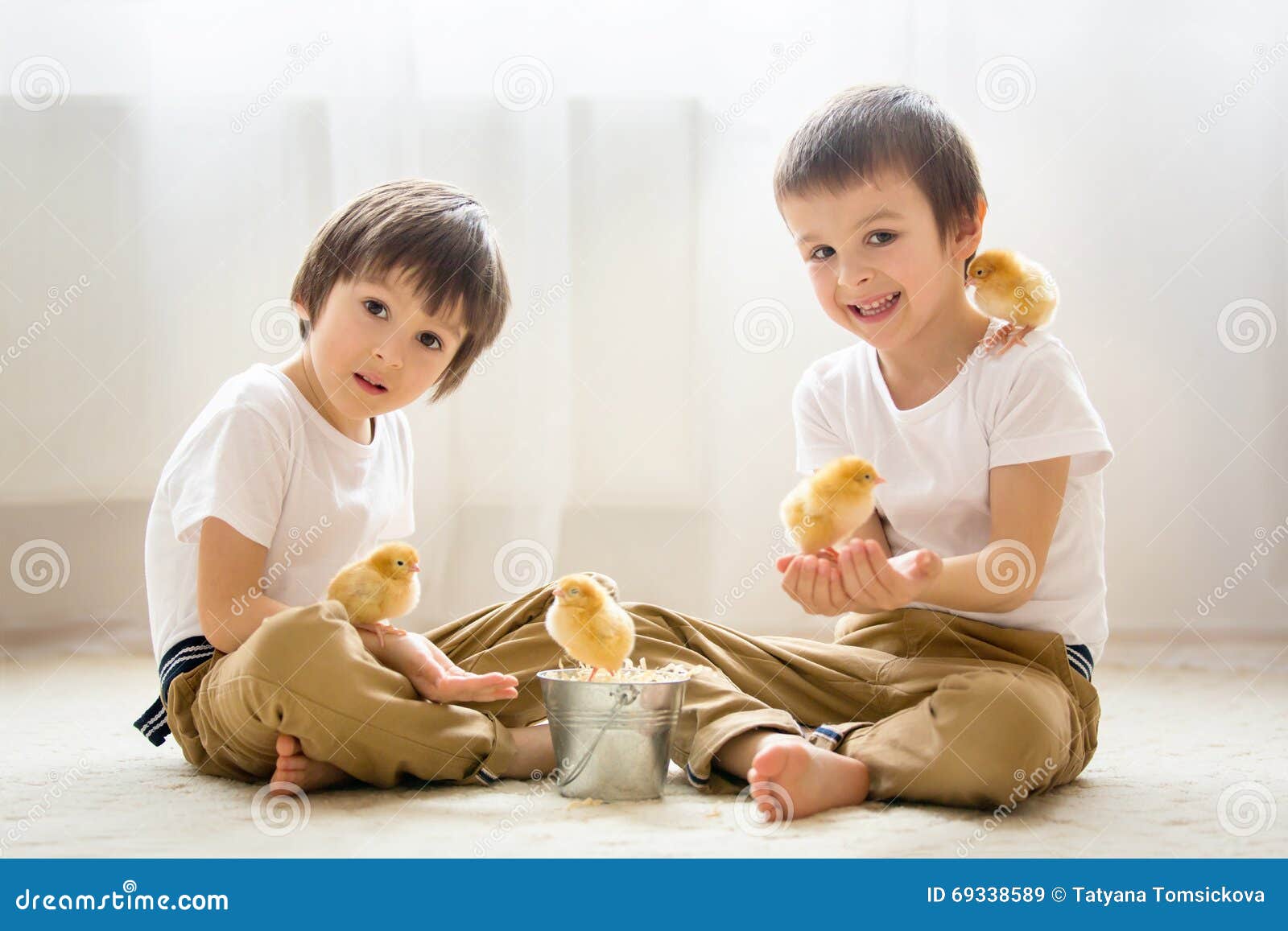 Two Sweet Little Children, Preschool Boys, Brothers, Playing Wit Stock ...