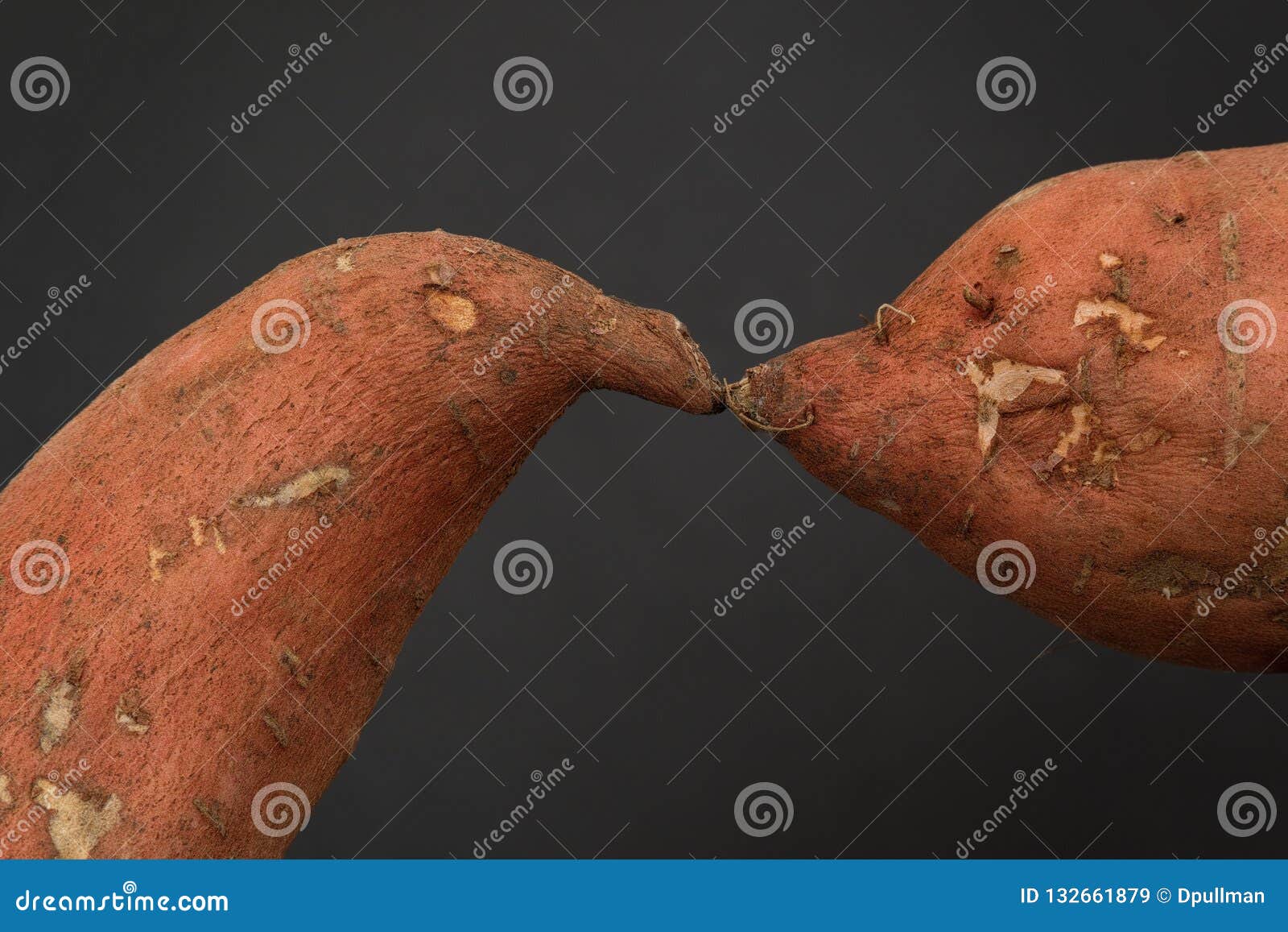 Two Sweet Potatoes Kissing Stock Image Image Of Freshness