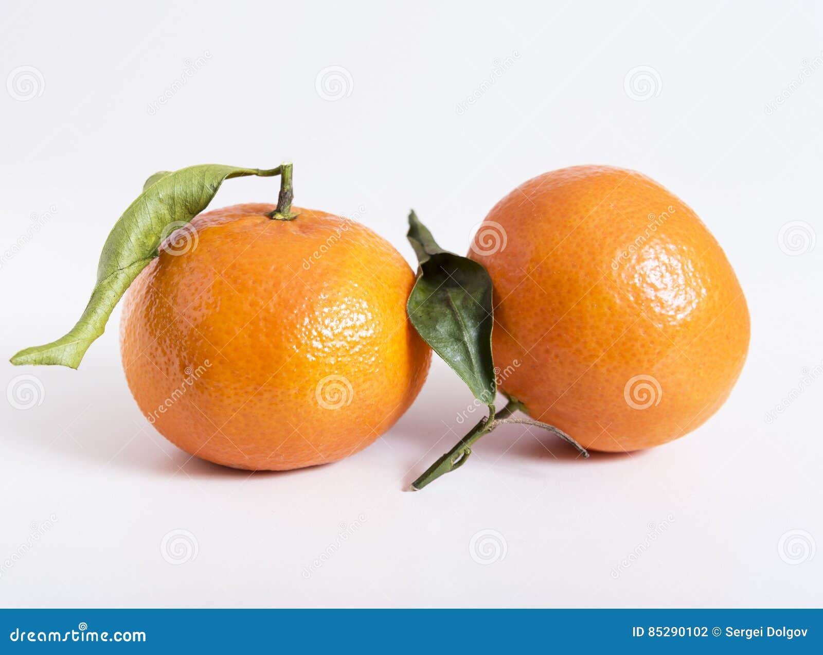 clementine and tangerine difference clementine and tangerine difference