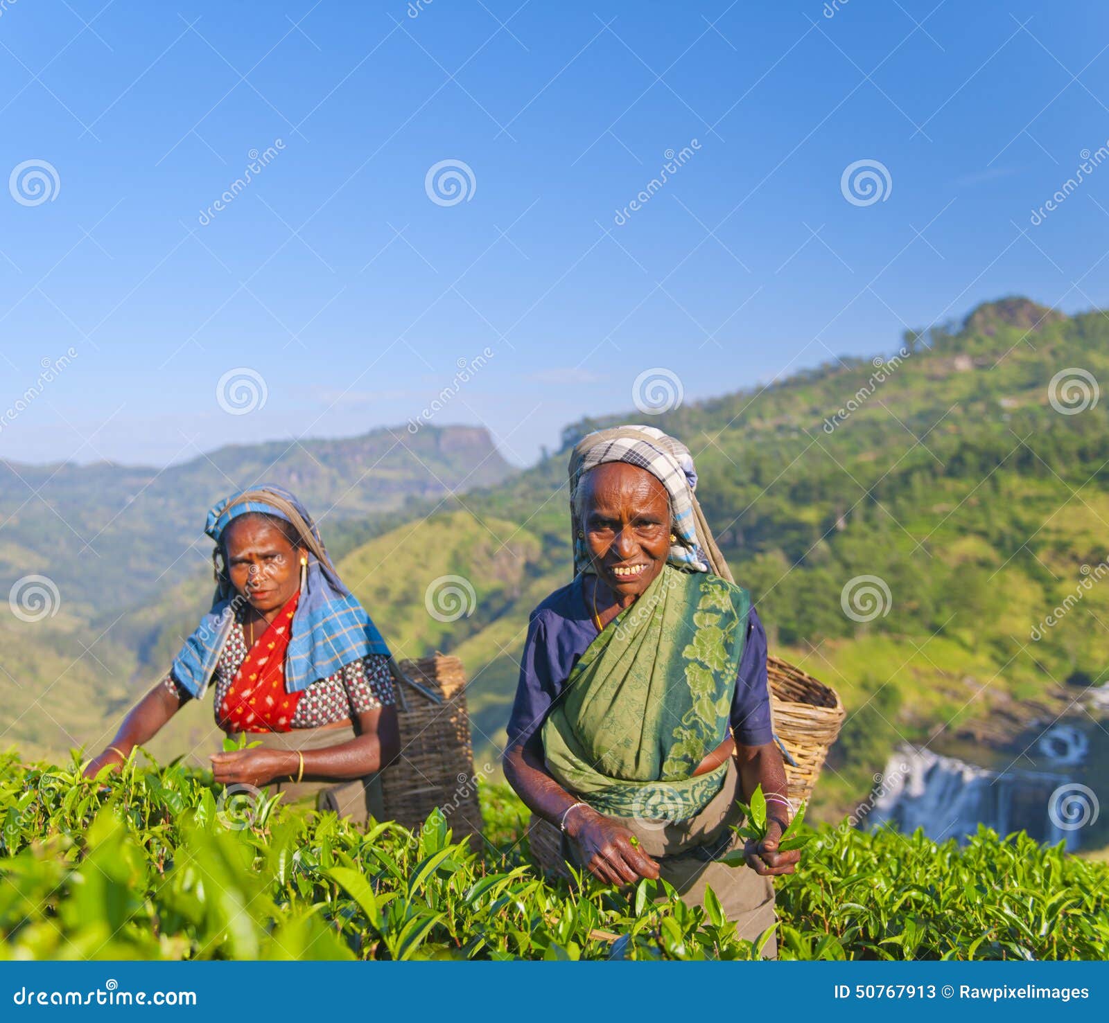 two tea pickers smile as they pick leaves