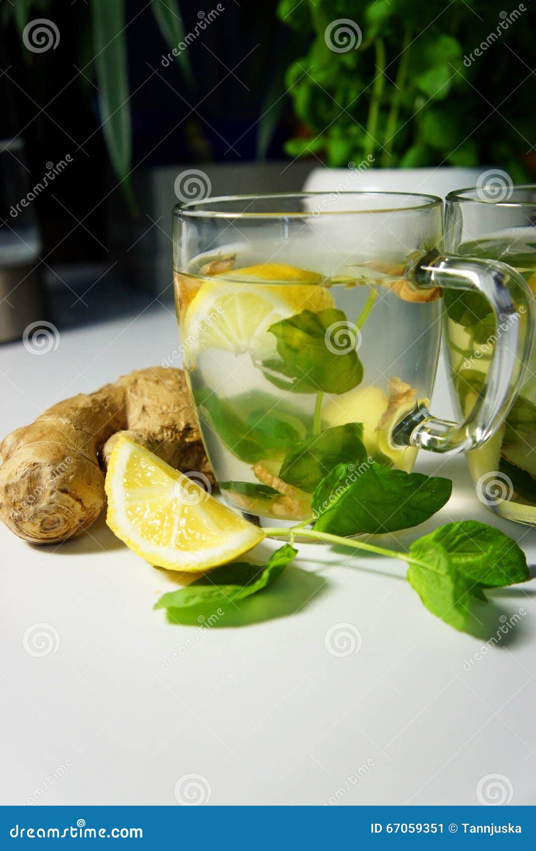 Two Teacups with Fresh Peppermint, Ginger and Lemon Stock Image Image