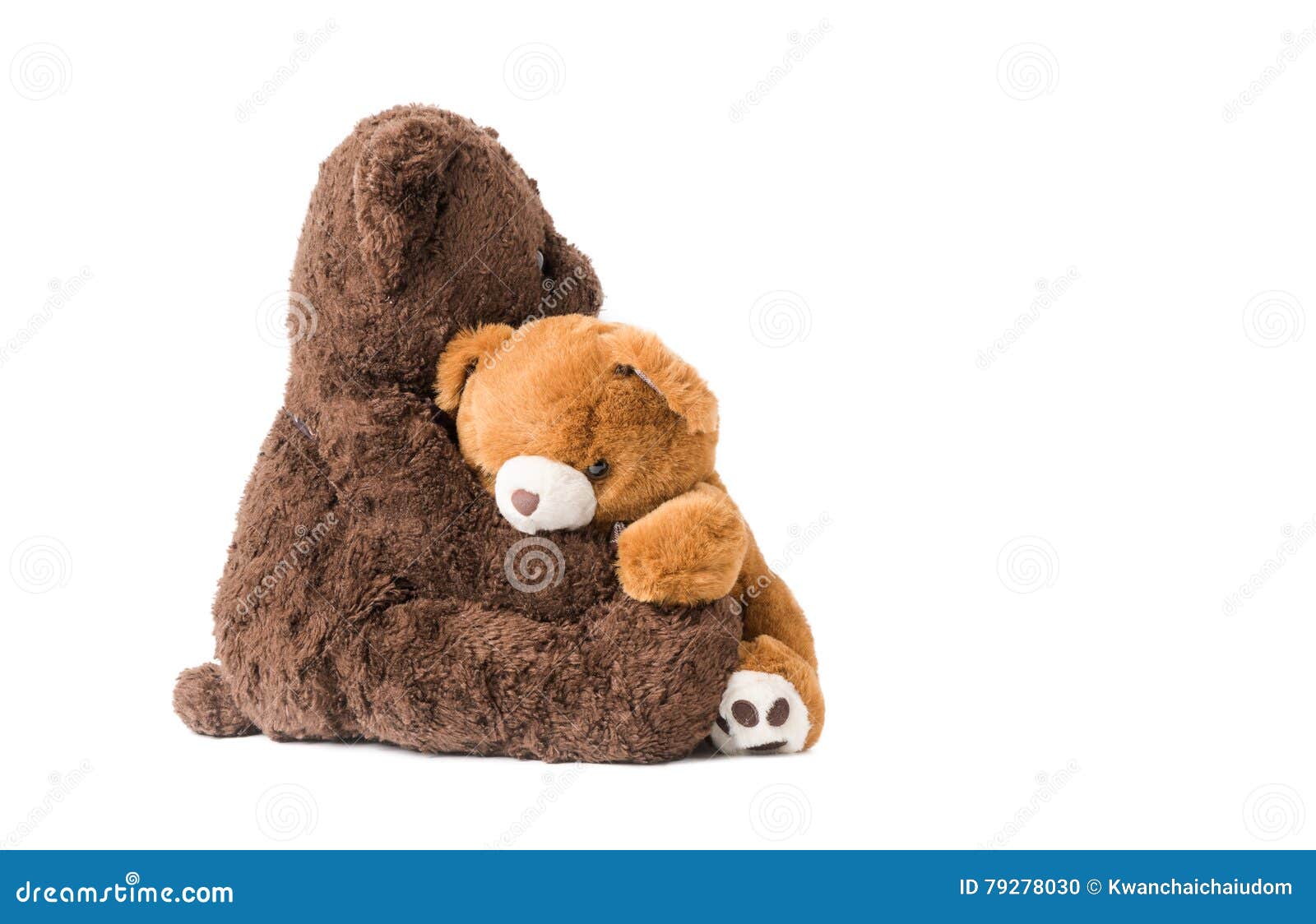 Two teddy bear hugging stock photo. Image of fluffy, friends - 79278030