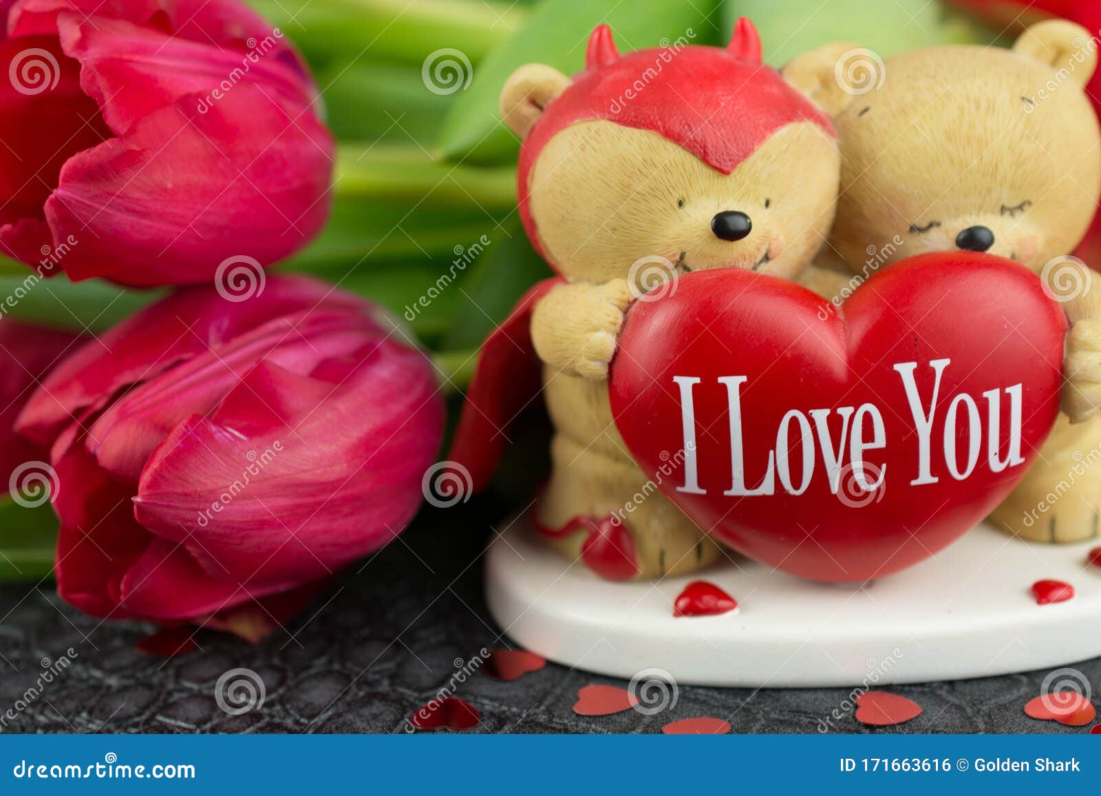 Two Teddy Bears with Heart I Love You and Tulips Stock Photo - Image of fashion, bear: 171663616 Two Teddy Bears with Heart I Love You and Tulips Stock Photo - Image of fashion, bear: 171663616