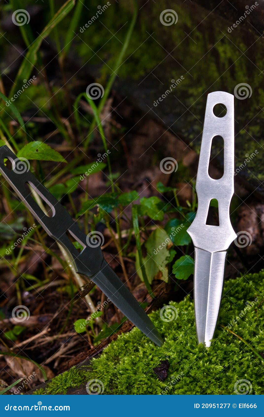 Two throwing knives stock image. Image of outdoors, moss 20951277
